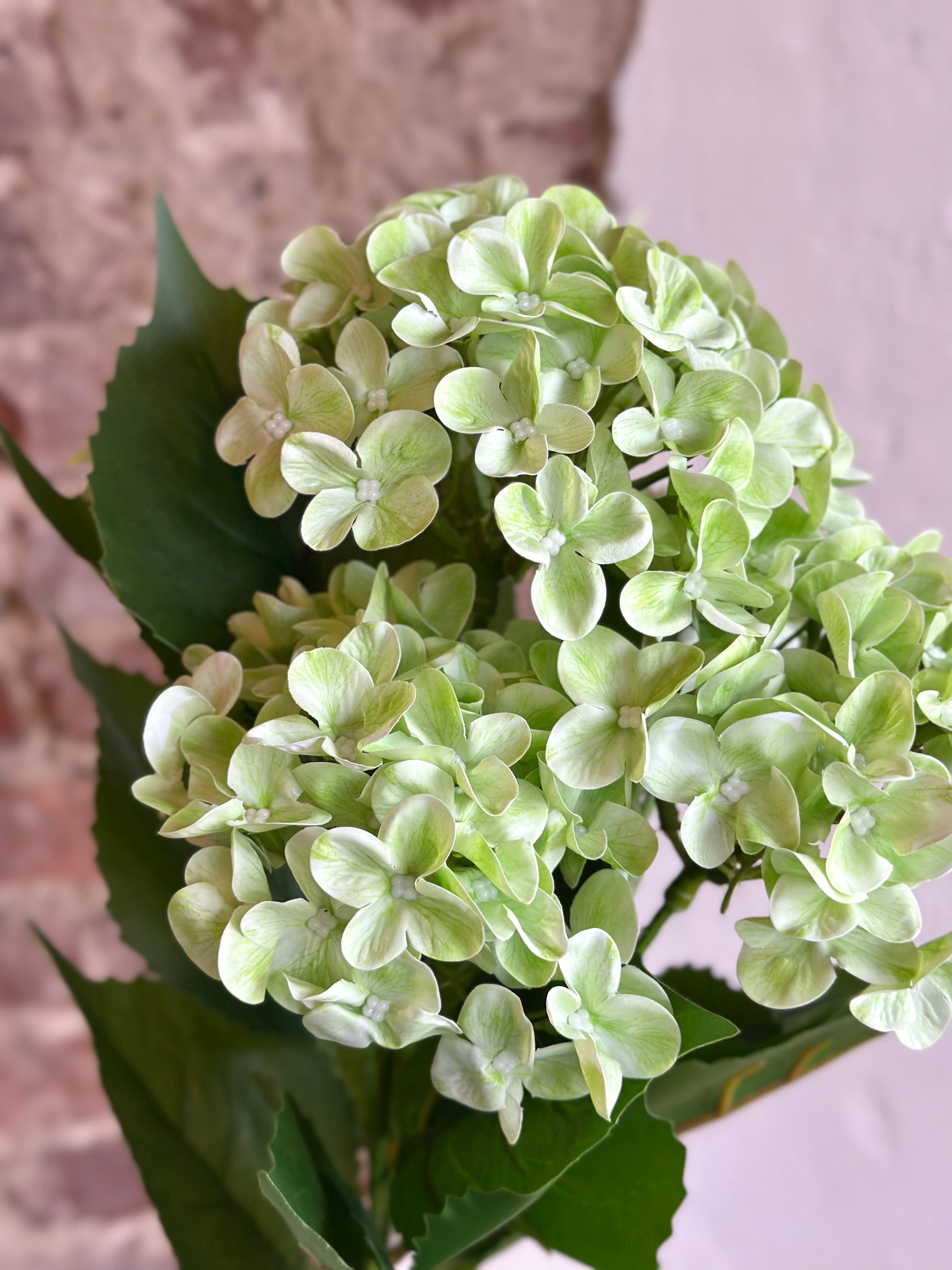22" Natural Touch Garden Hydrangea Bush