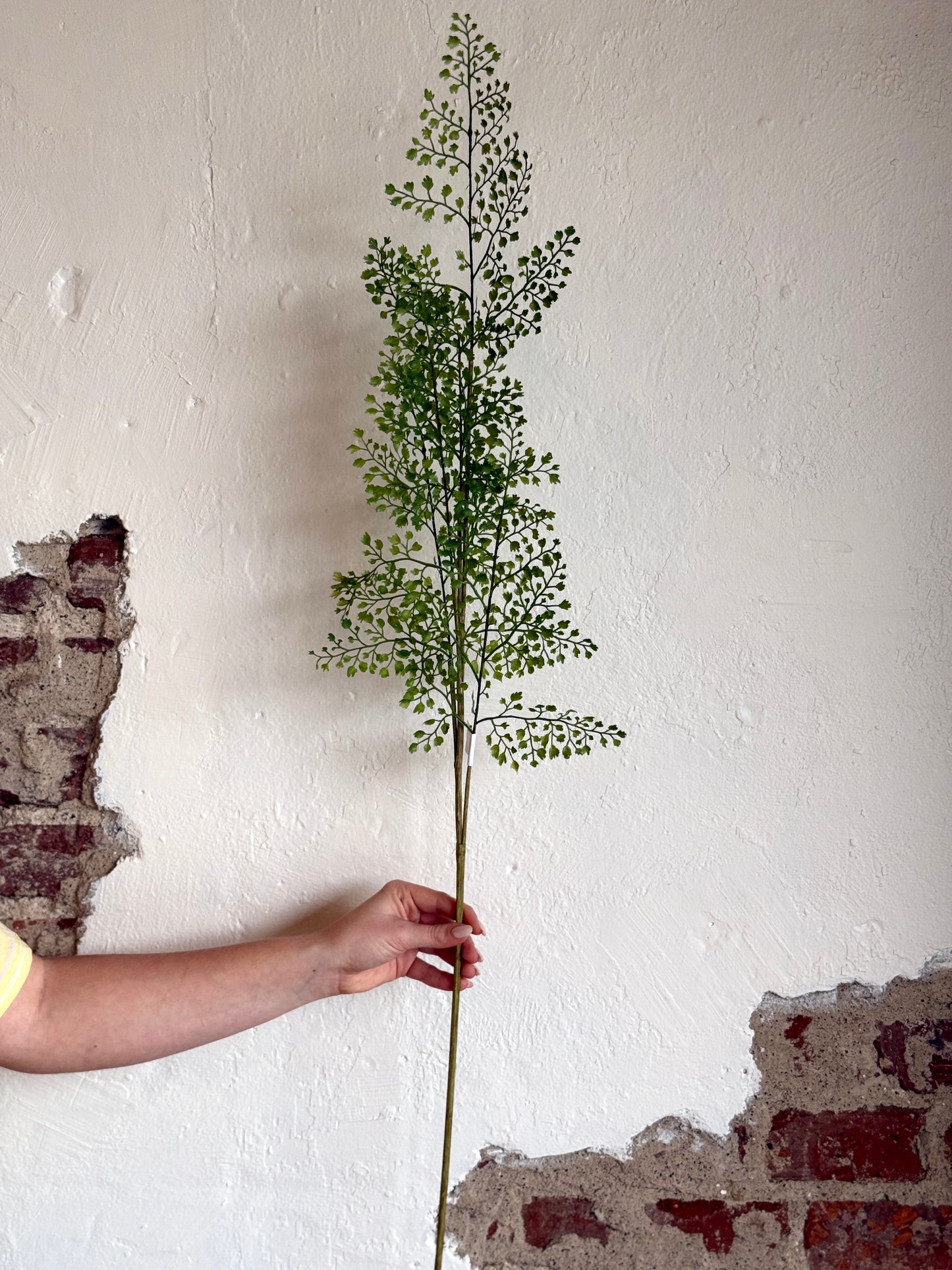 42" Maidenhair Fern Spray