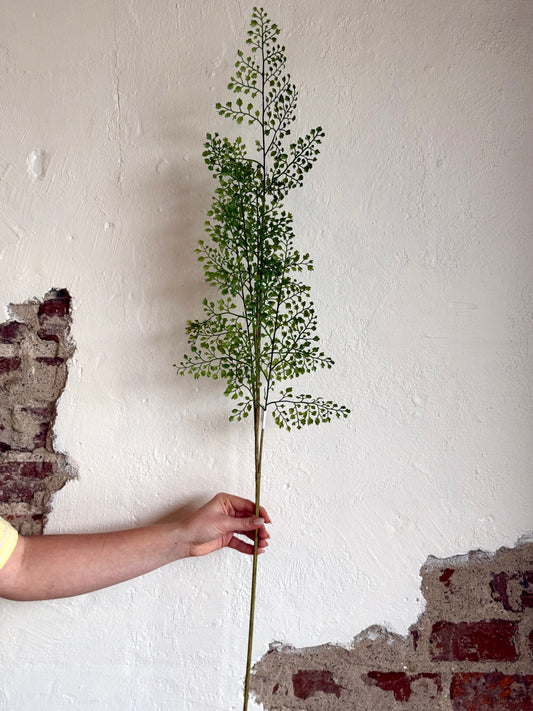 42" Maidenhair Fern Spray