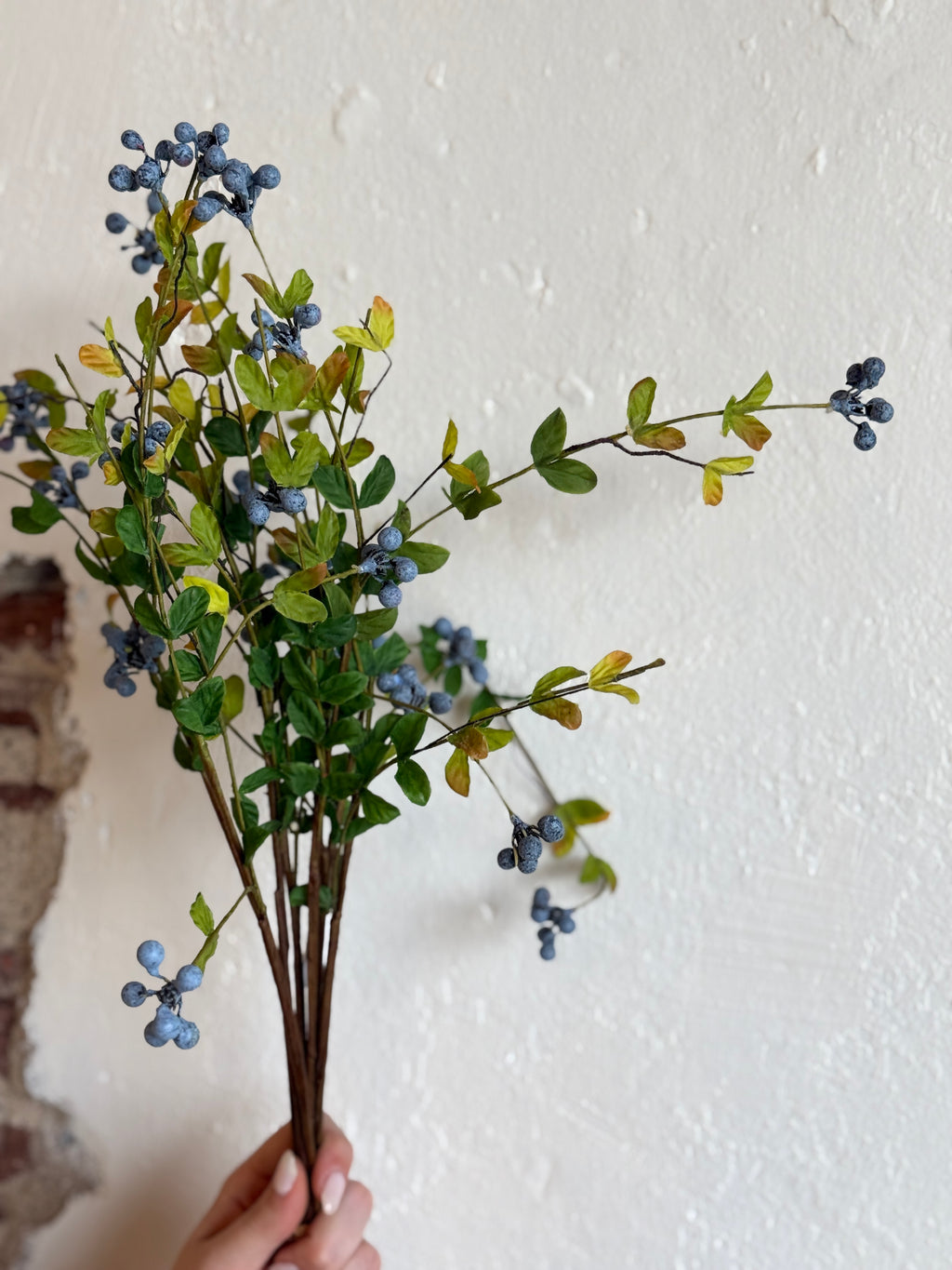 WILD BLUEBERRY BUNDLE X6 19"