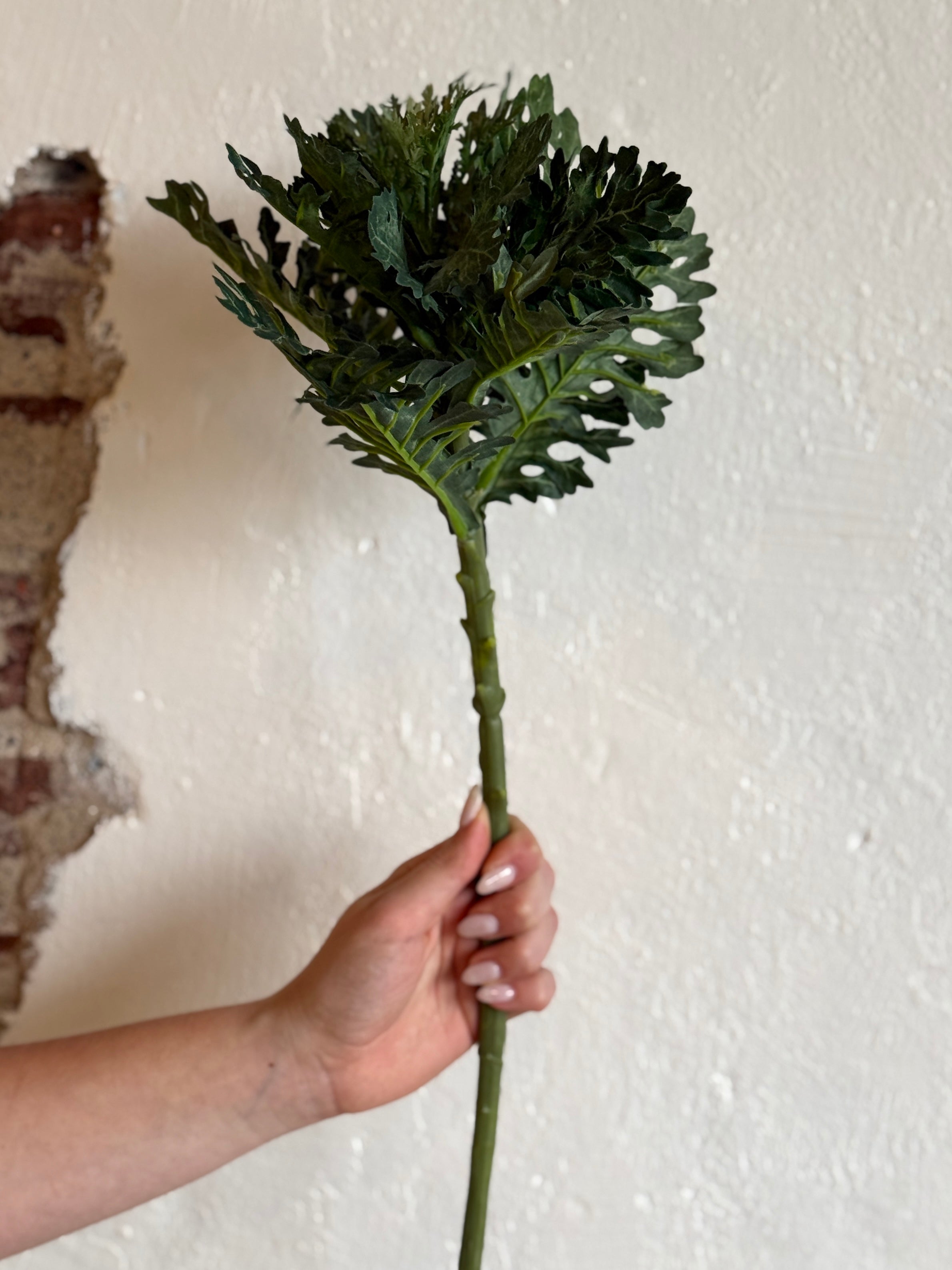 19" Green Ornamental Cabbage Stem