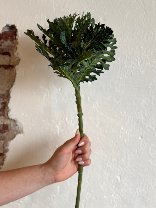 19" Green Ornamental Cabbage Stem