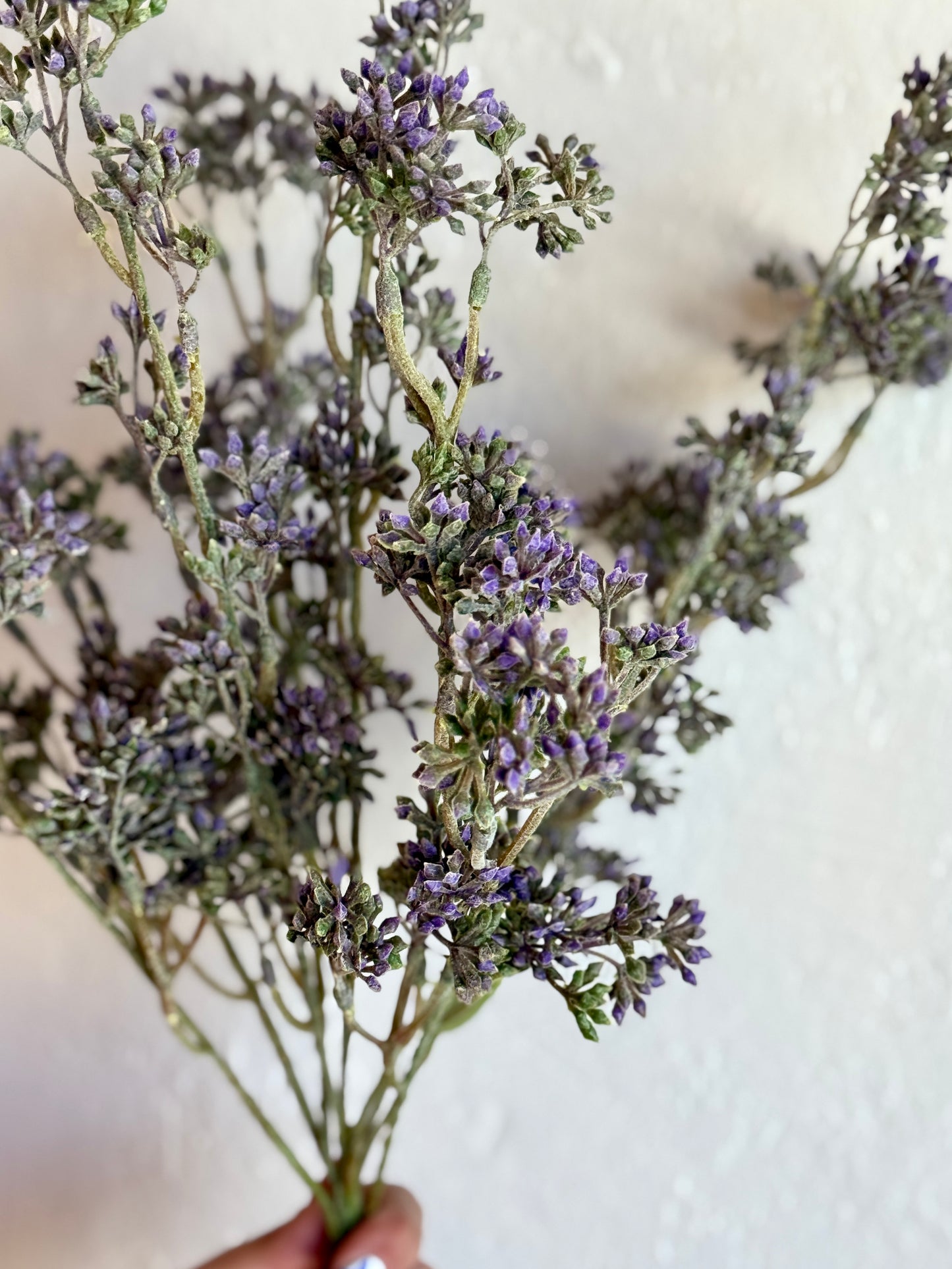 17" Seeds Bush (Multiple Options)