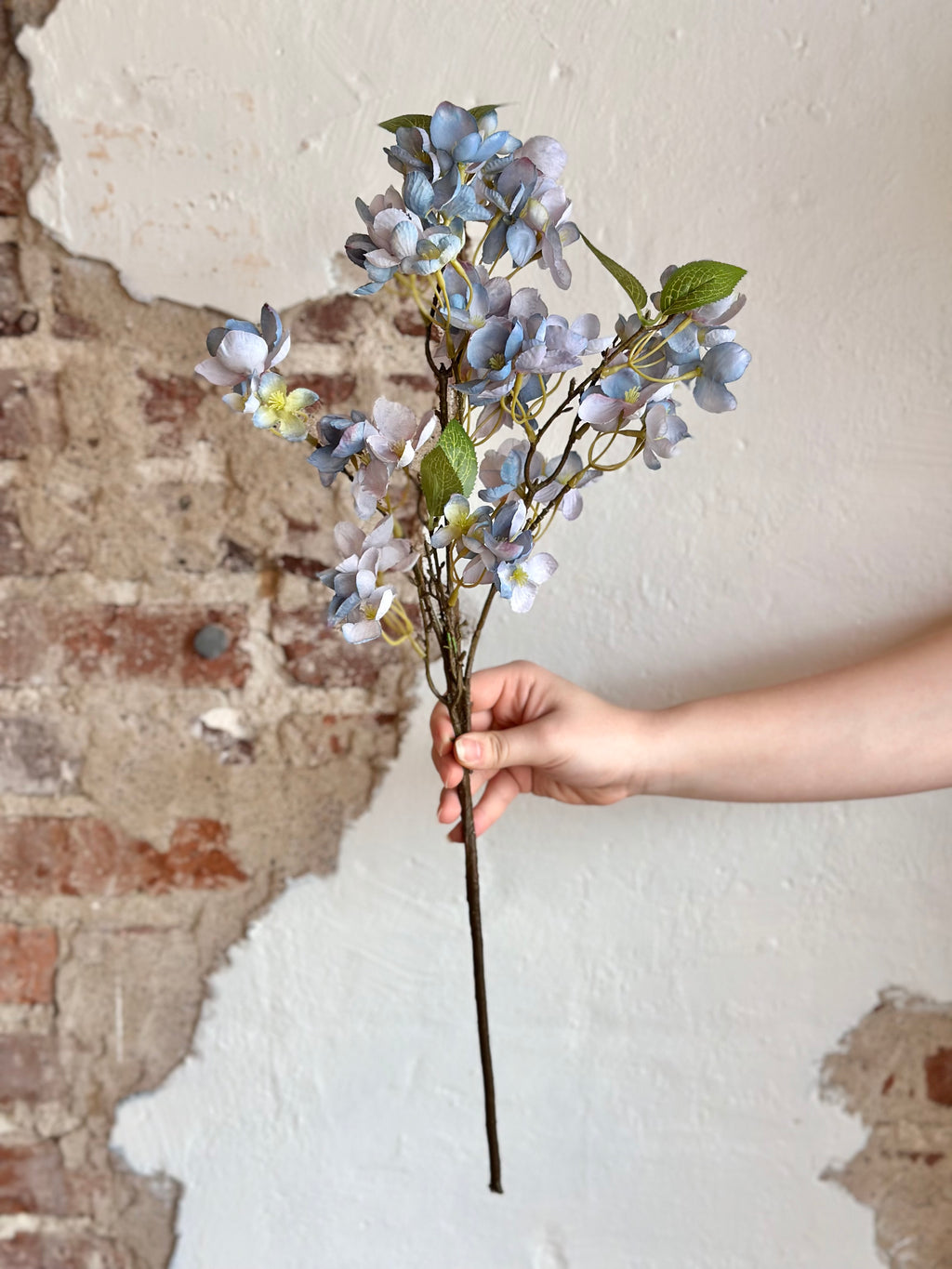 25" Dried Apple Blossom Spray