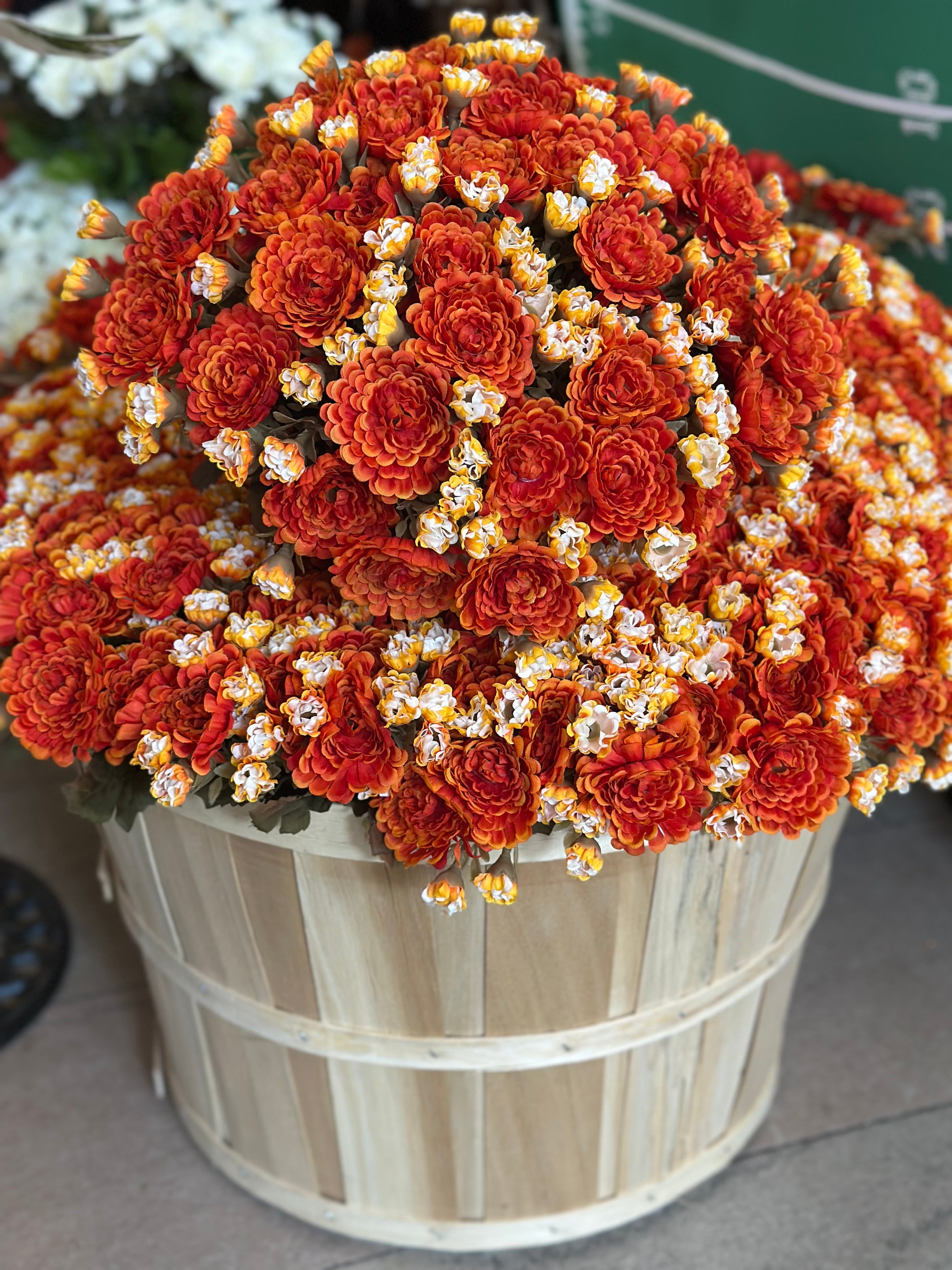 15" Mini Mum Bush