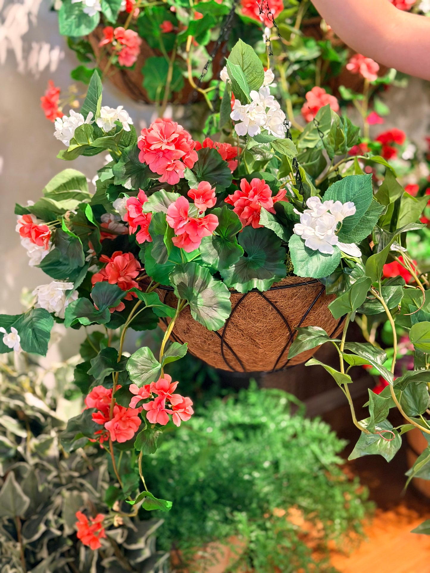 UV-Protected Geranium & Hydrangea Hanging Basket