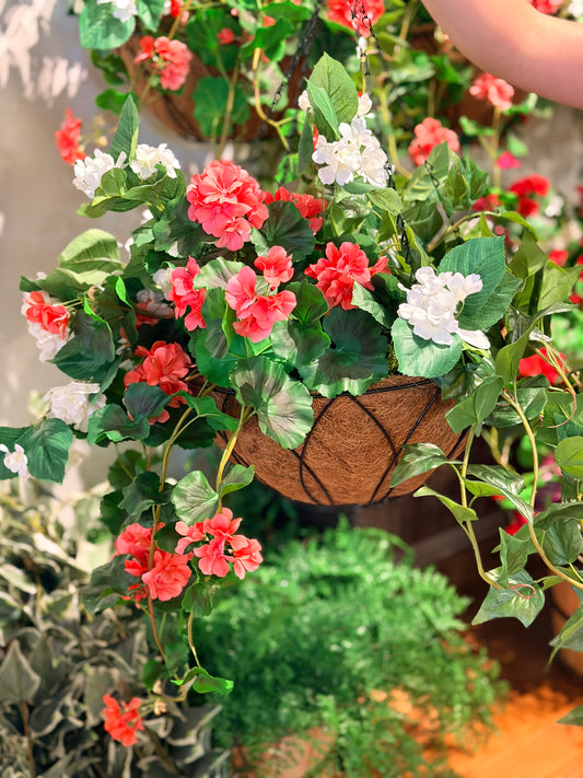 UV-Protected Geranium & Hydrangea Hanging Basket