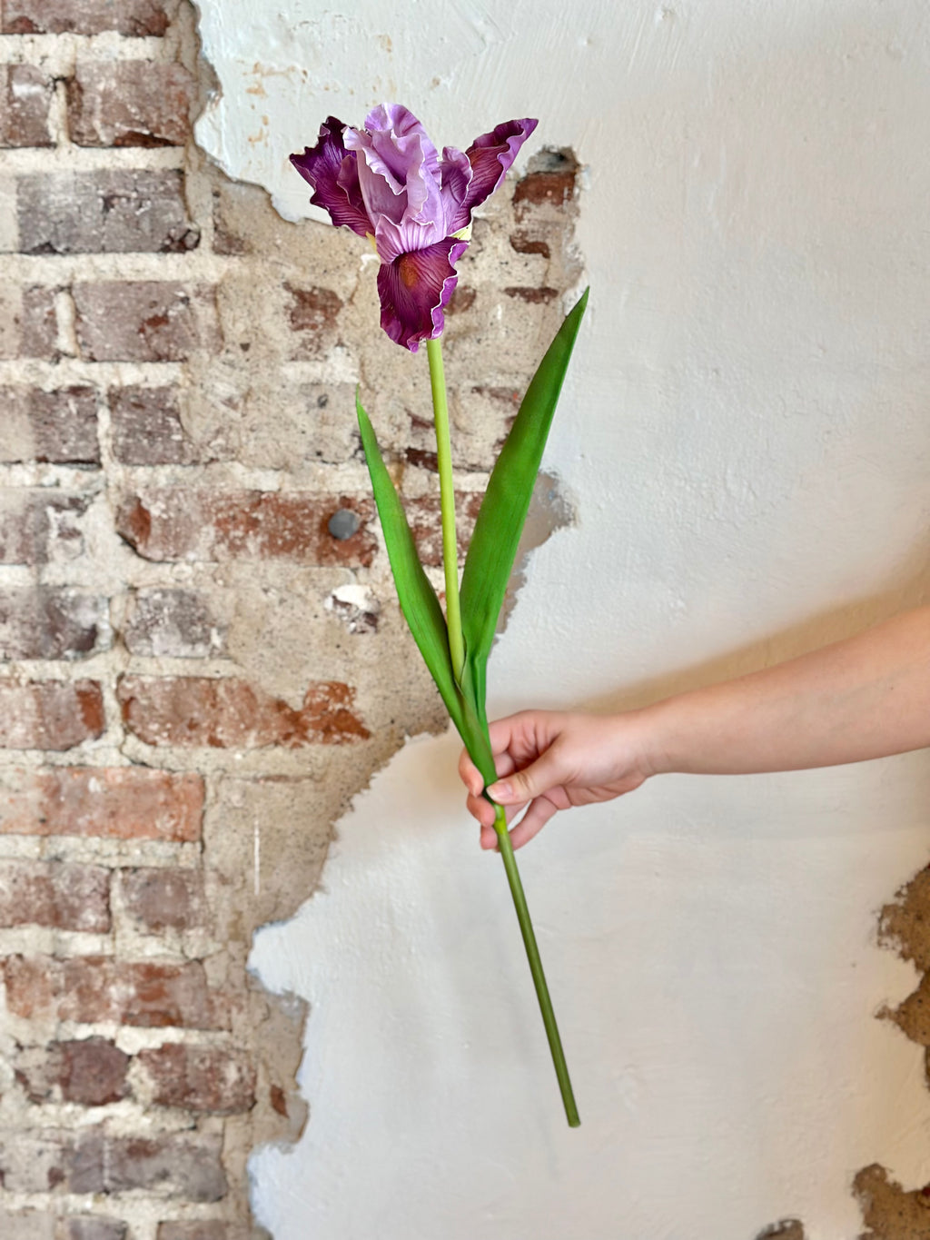 28" Natural Touch Bearded Iris- Violet
