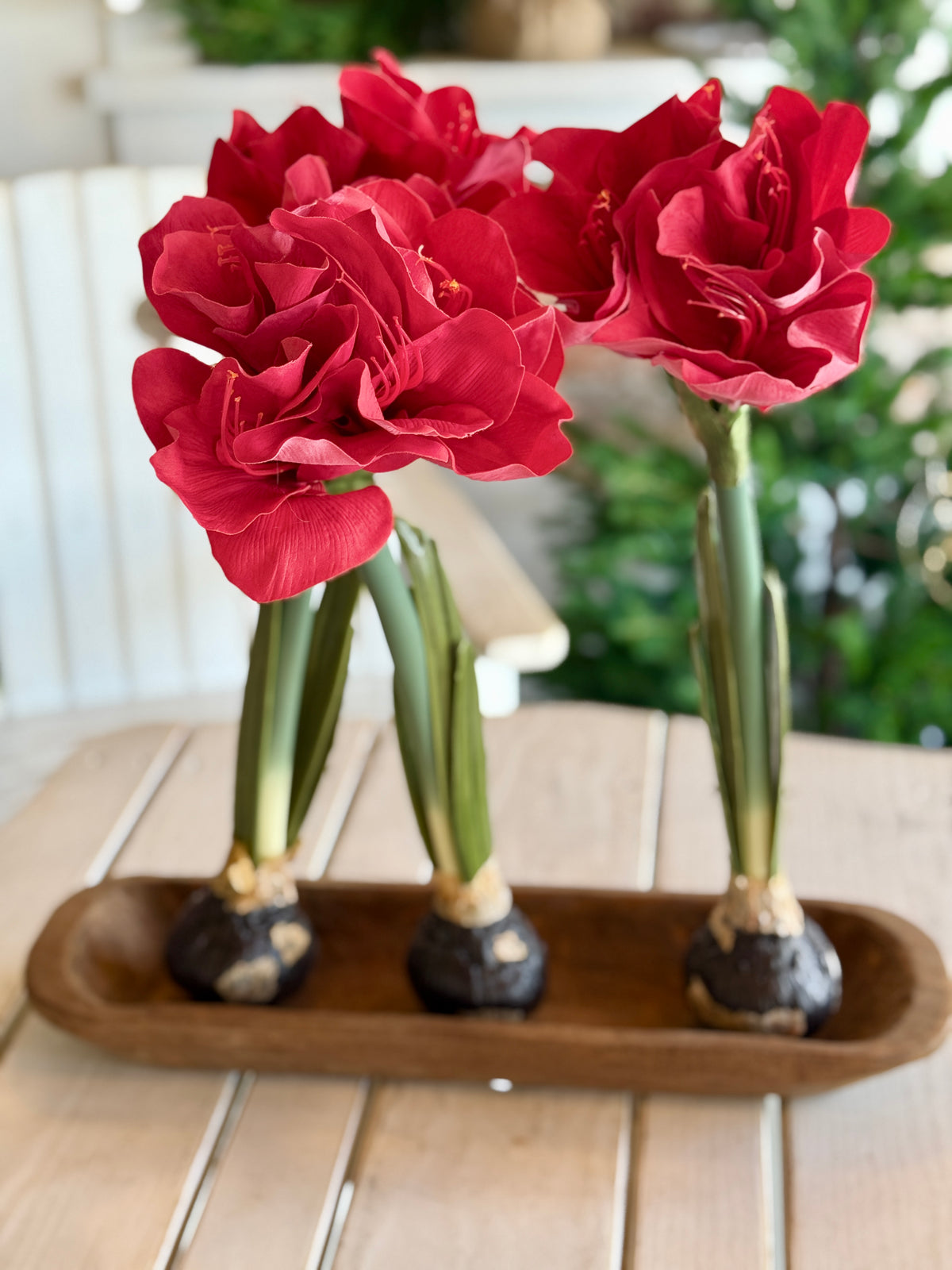 19" Real Touch Red Amaryllis Bulb