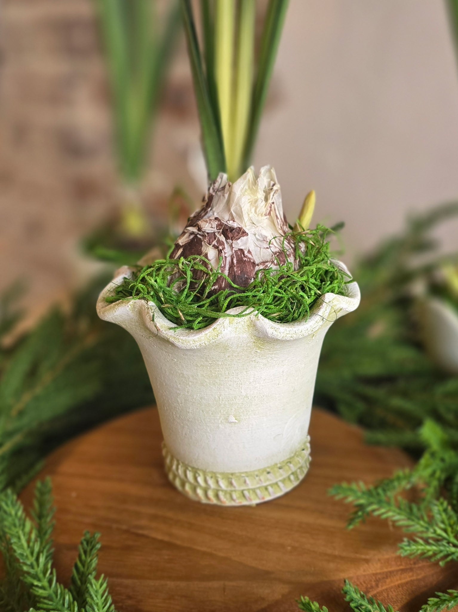 Paperwhite and Bulb Arrangement White Pot (Pot Design Options)