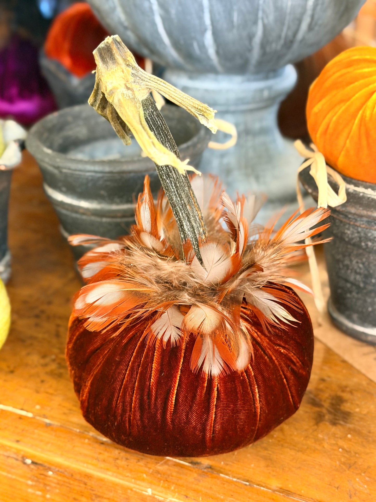 5" Apricot Velvet Pumpkin with Partridge Feather Collar