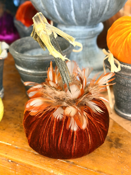 5" Apricot Velvet Pumpkin with Partridge Feather Collar
