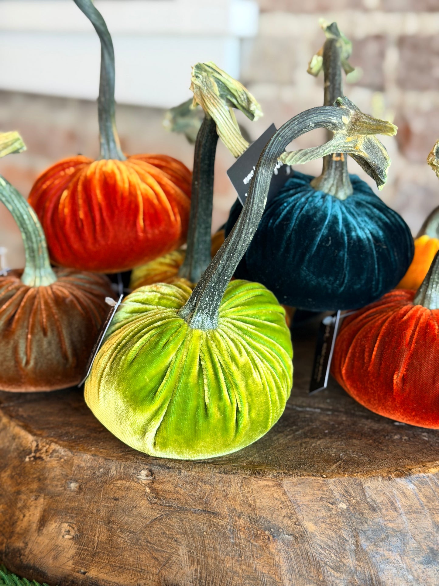 4" Velvet Pumpkin (Silk Options)