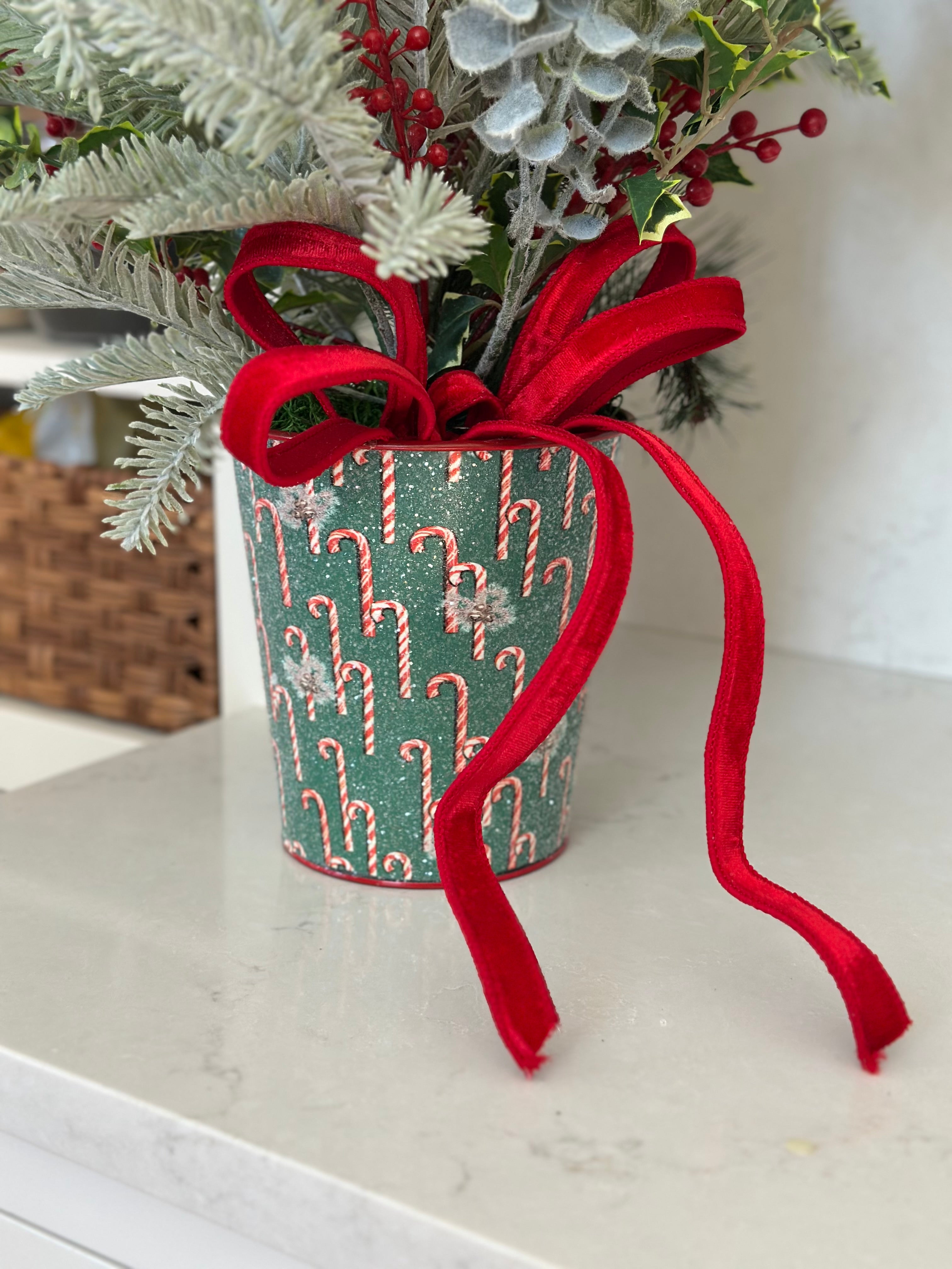 Spruce and Holly in Candy Cane Bucket