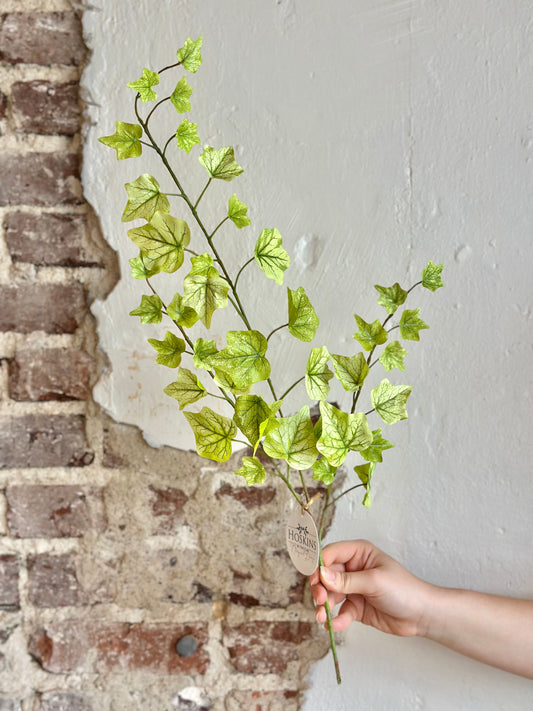 25" Lemon Lime English Ivy Spray