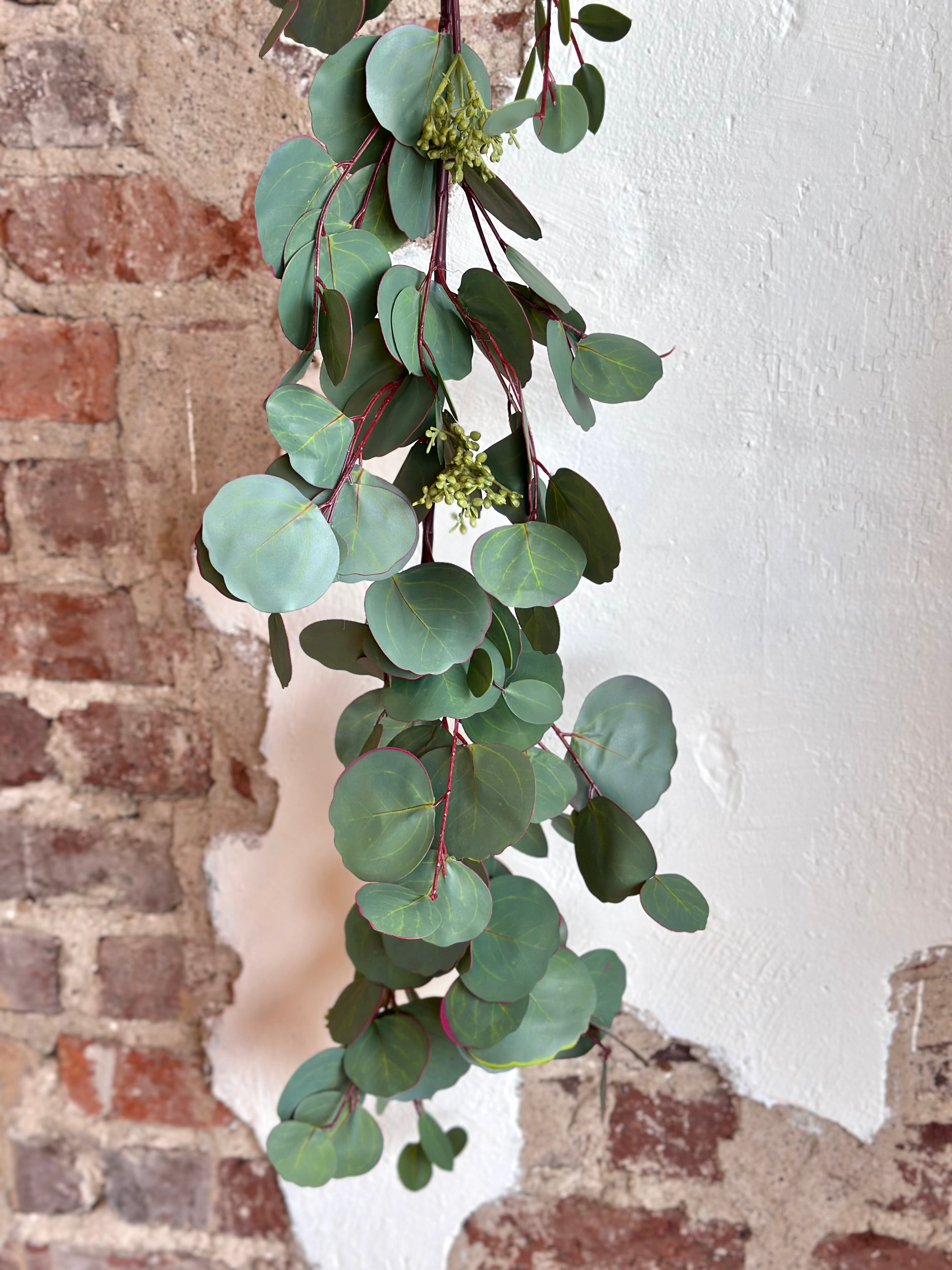 48" Silver Dollar Eucalyptus Garland