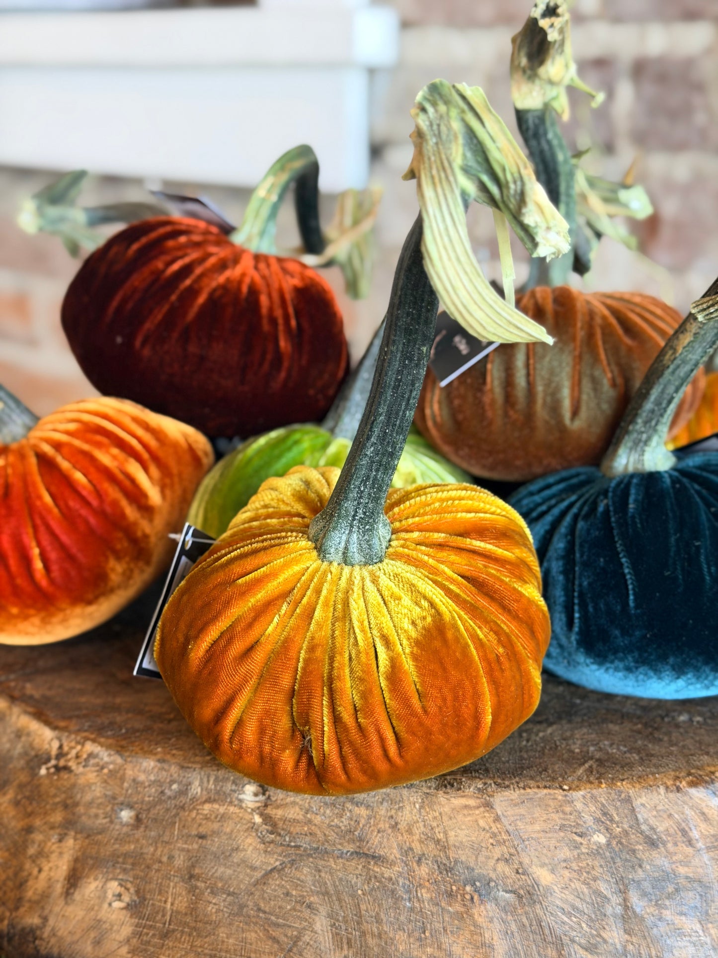 4" Velvet Pumpkin (Silk Options)