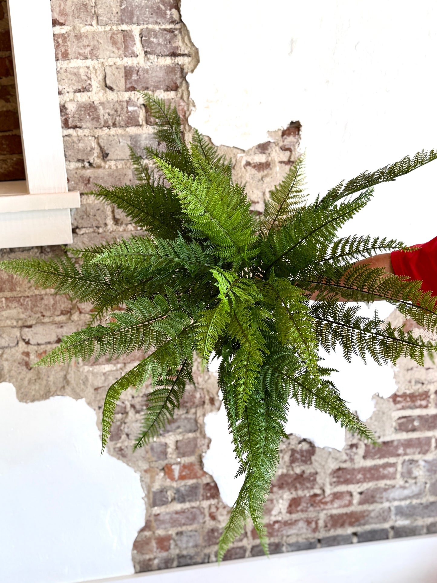 34" L x 29" D, UV Green Leather Fern Bush