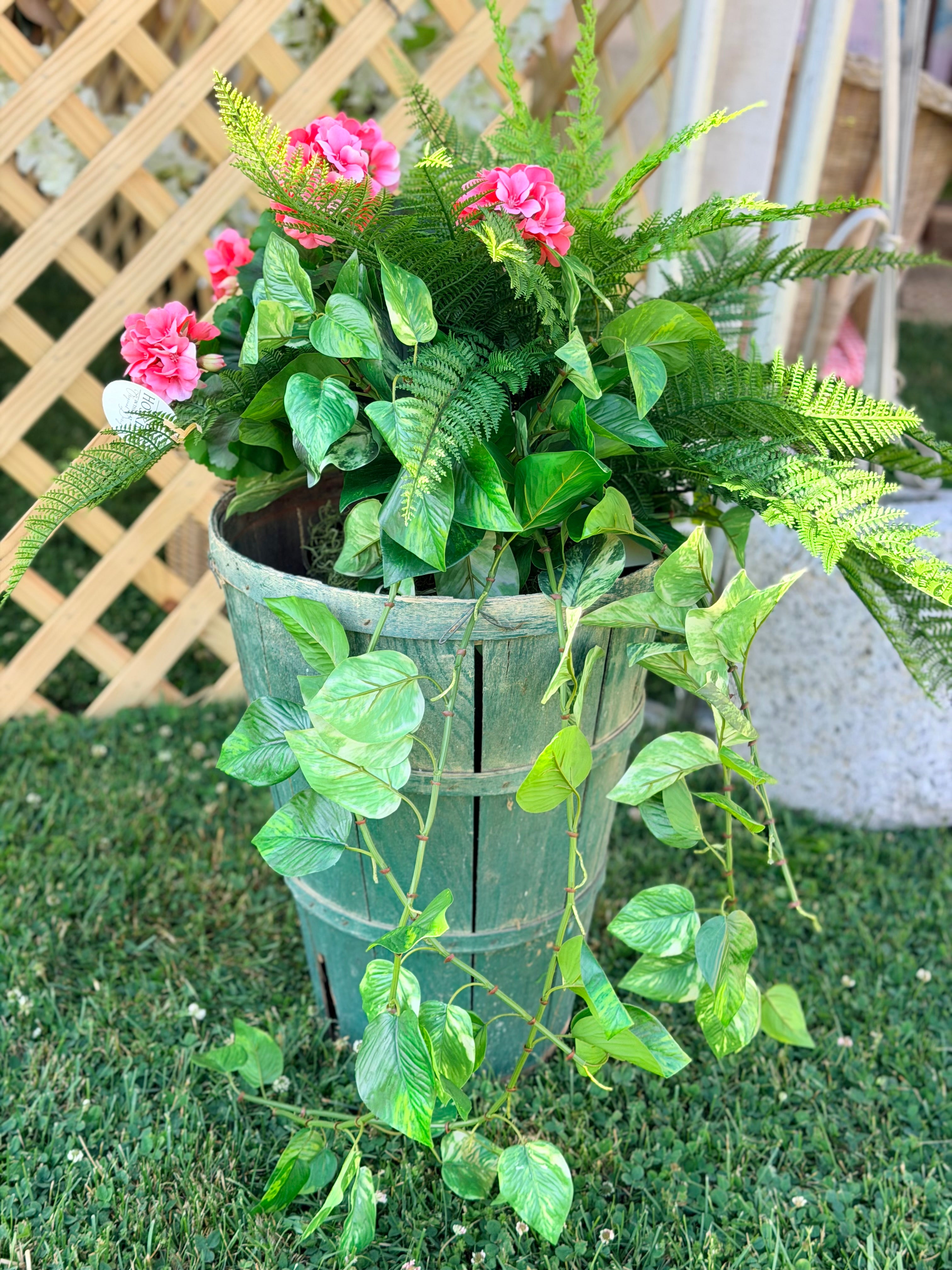 Pink Geraniums, Fern, and Ivy in Antique Green Basket