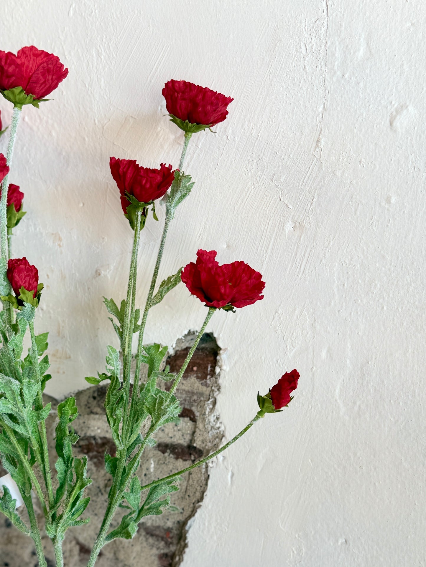 COSMOS BUSH X3 20" (COLOR OPTIONS)
