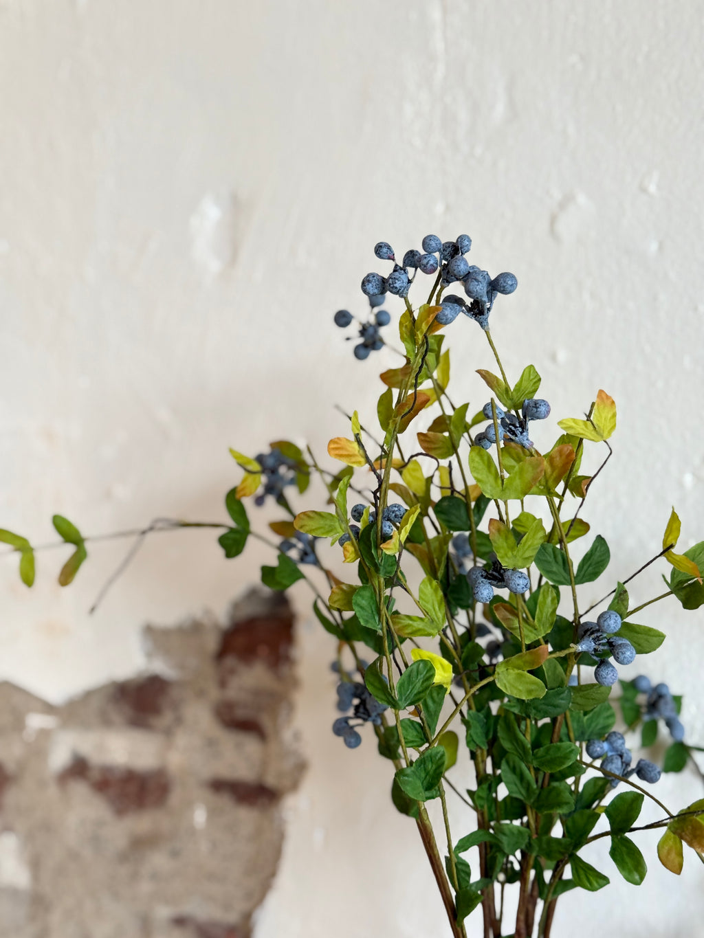 WILD BLUEBERRY BUNDLE X6 19"