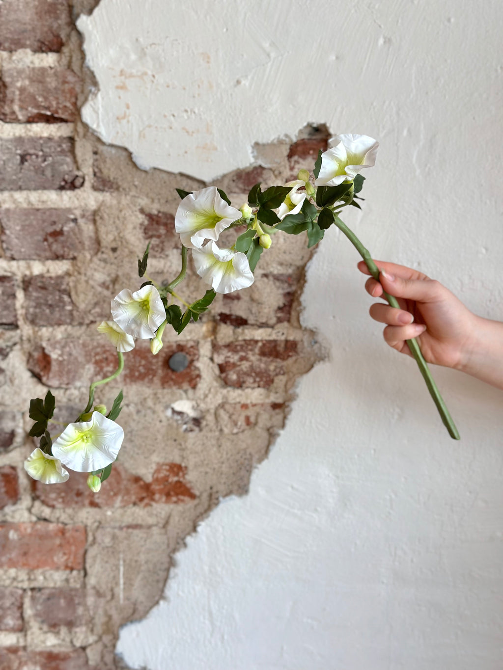 14" Clematis Vine- White