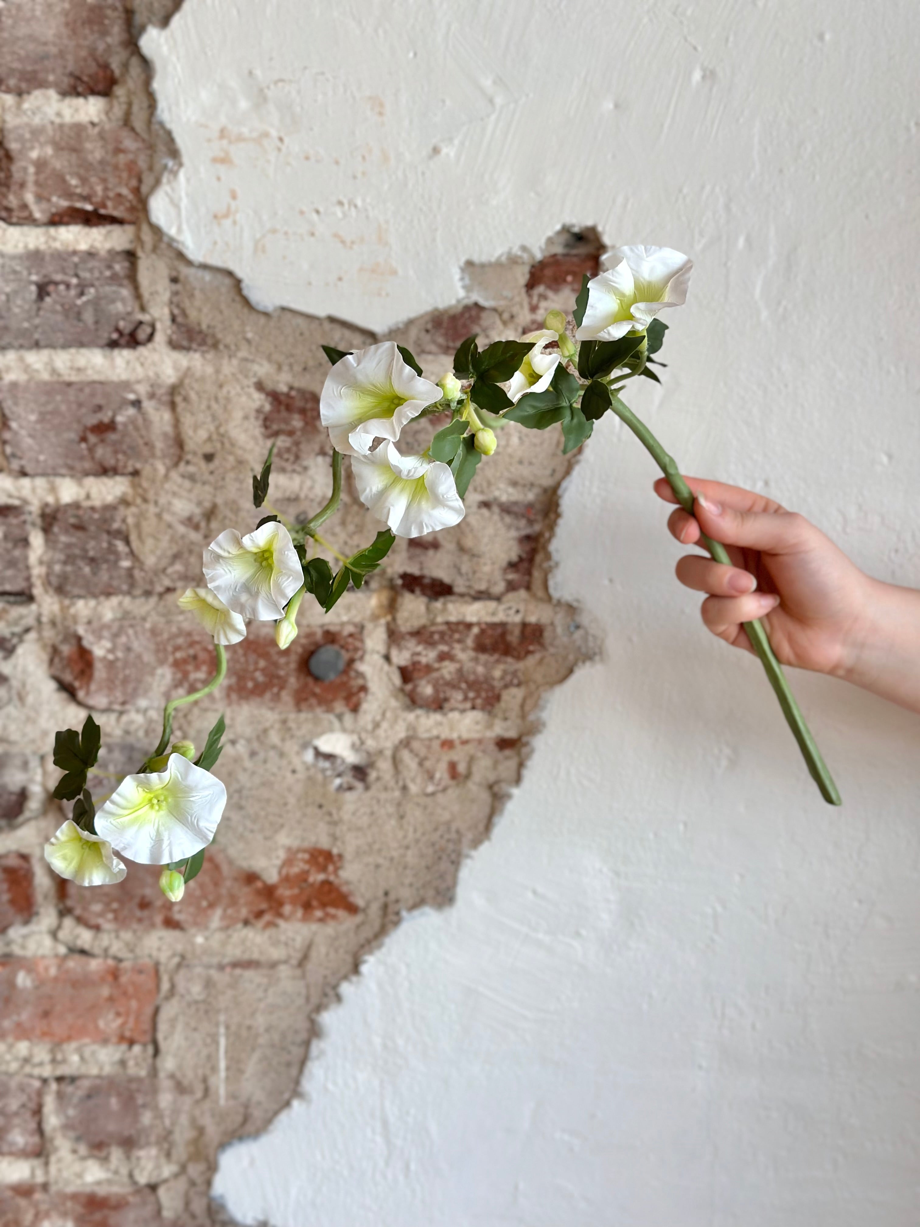 14" Clematis Vine- White