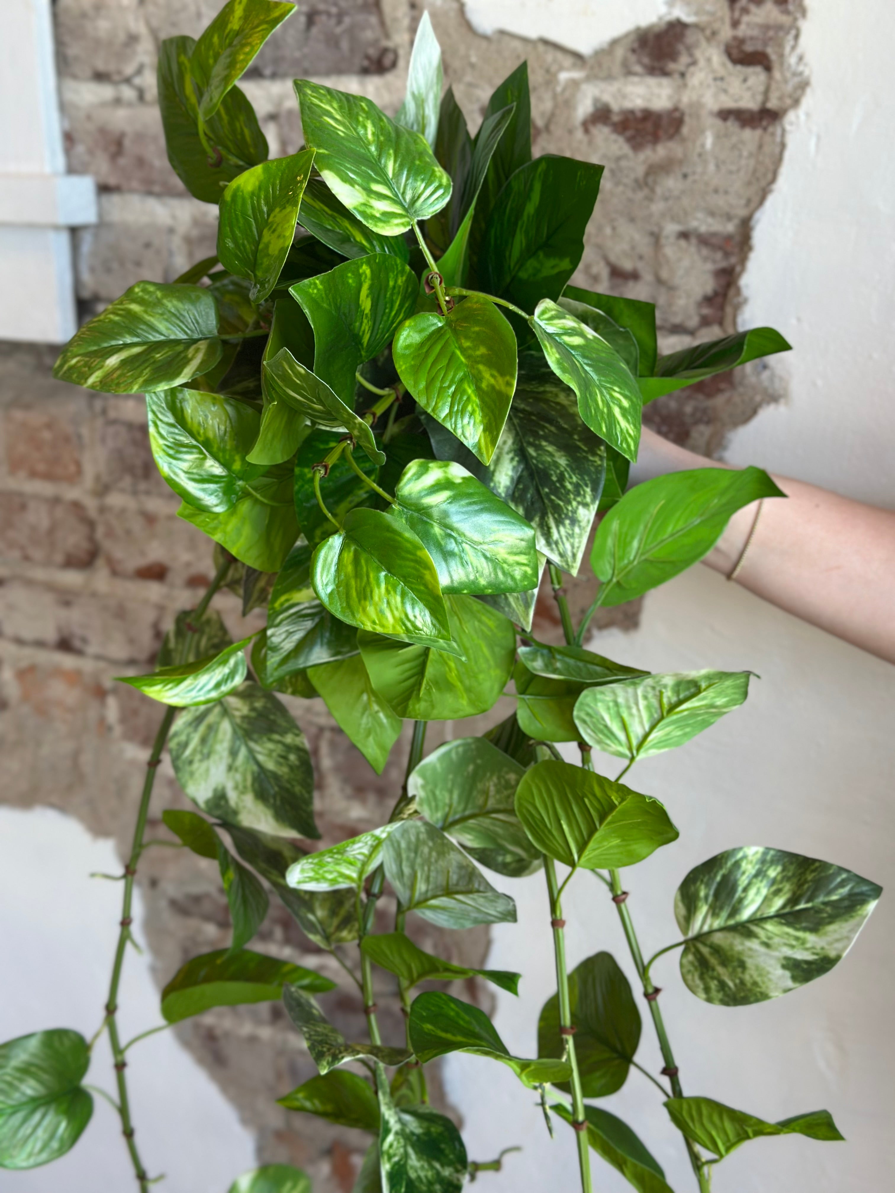 42" UV Proof Natural Touch Pothos Hanging Plant