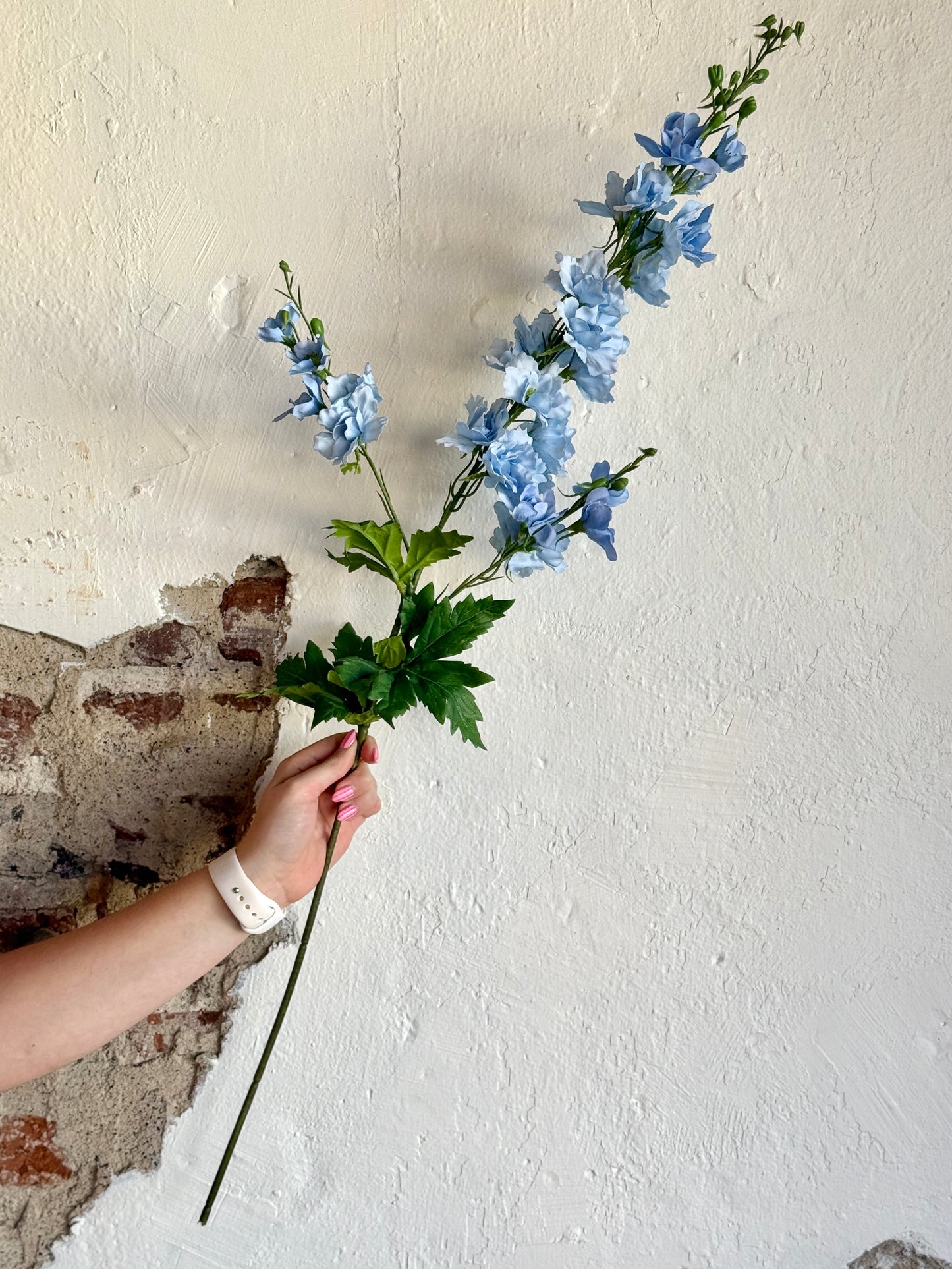 DELPHINIUM SPRAY 36" -LIGHT BLUE