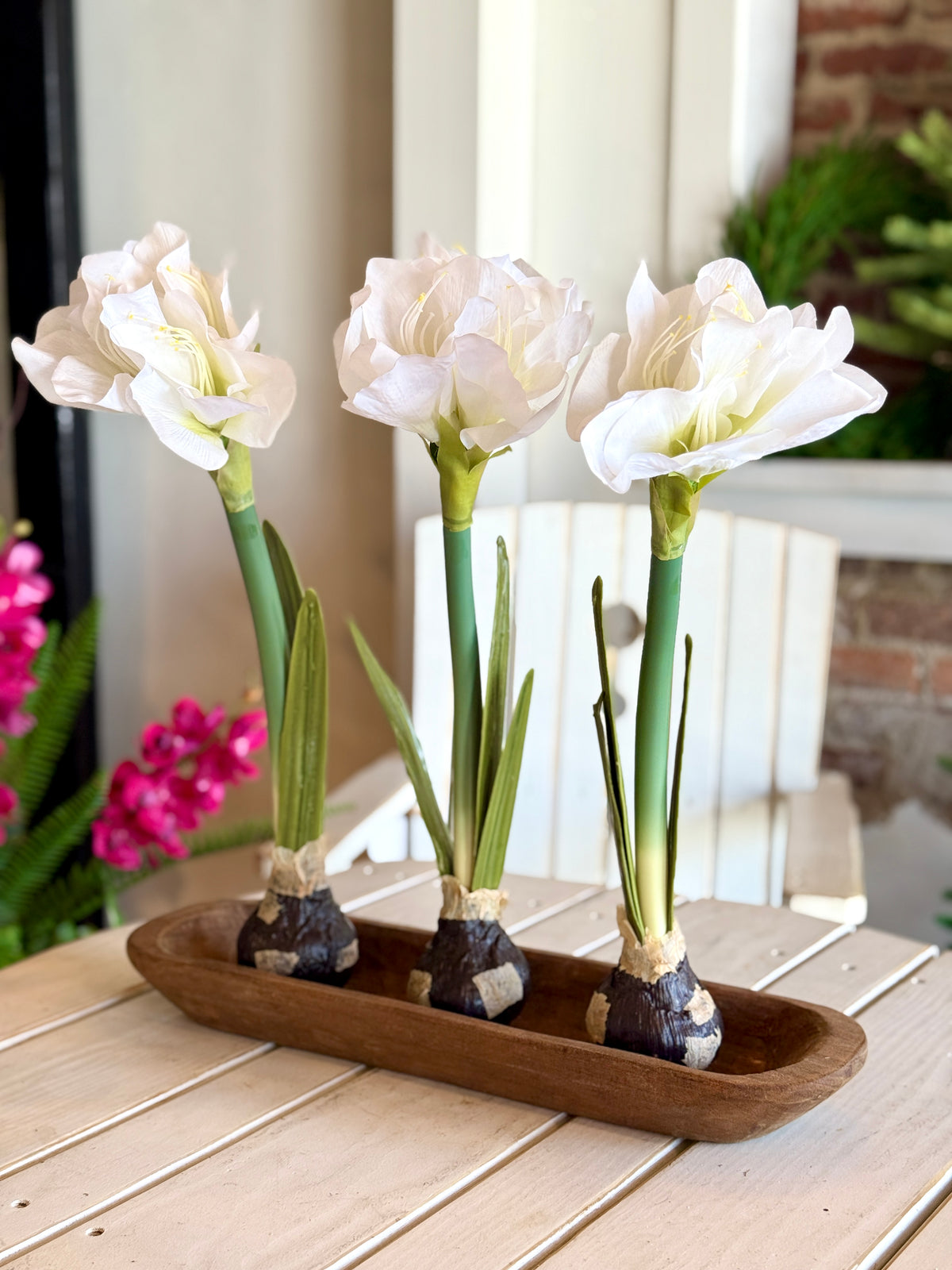 19" Real Touch White Amaryllis Bulb
