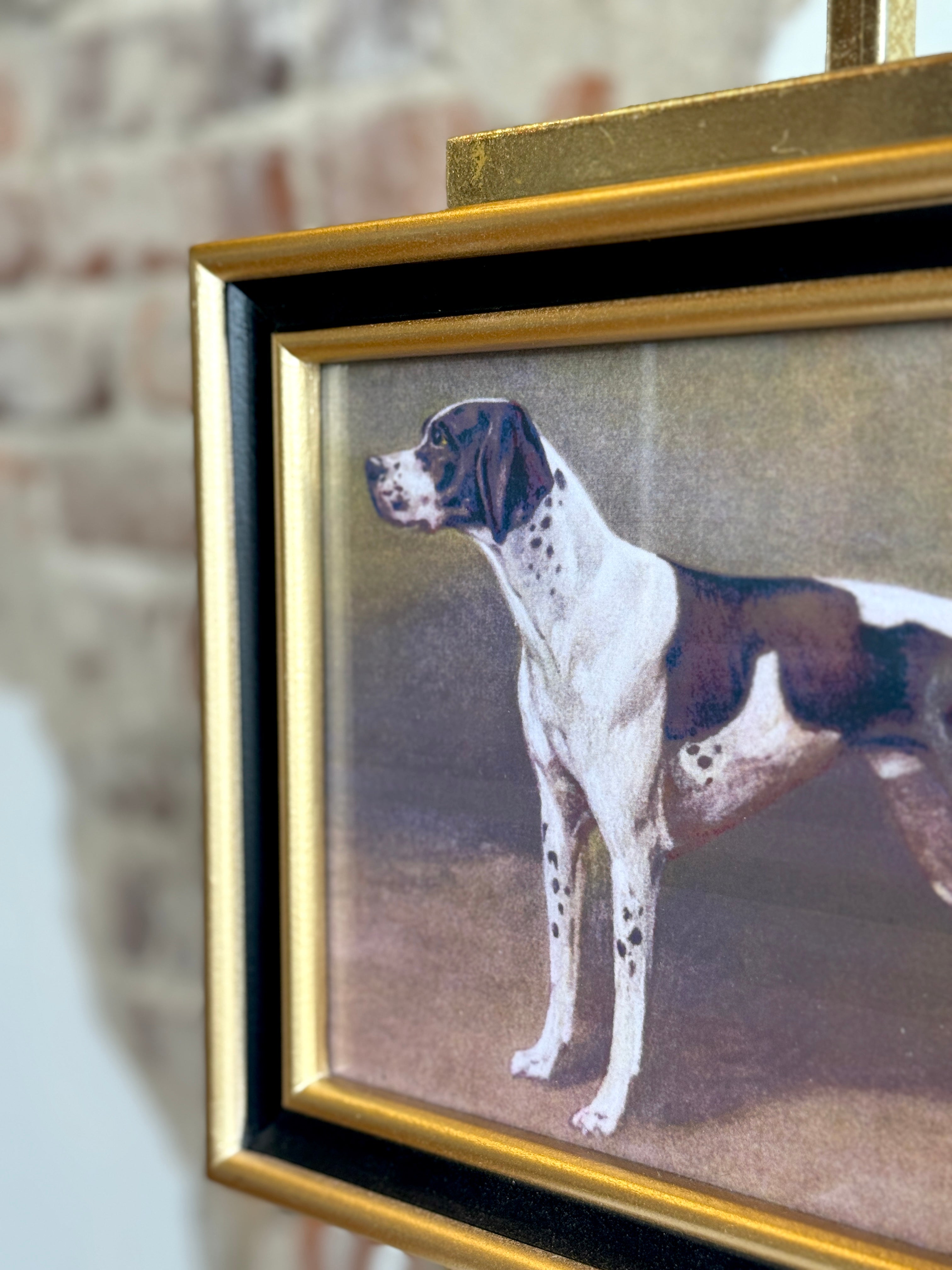 Classic Sporting Dog Framed Print