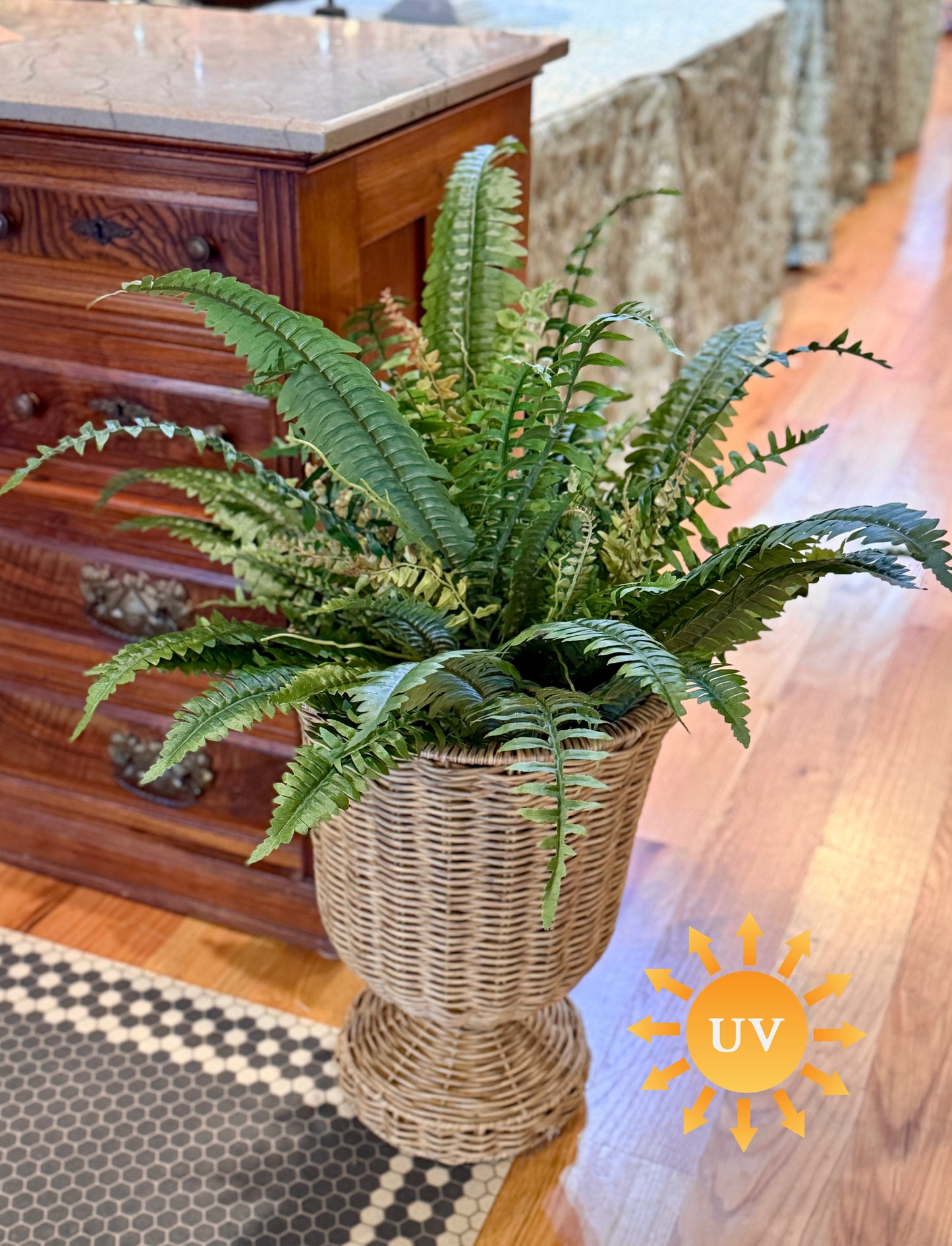 32" UV Estate Upright Boston Fern