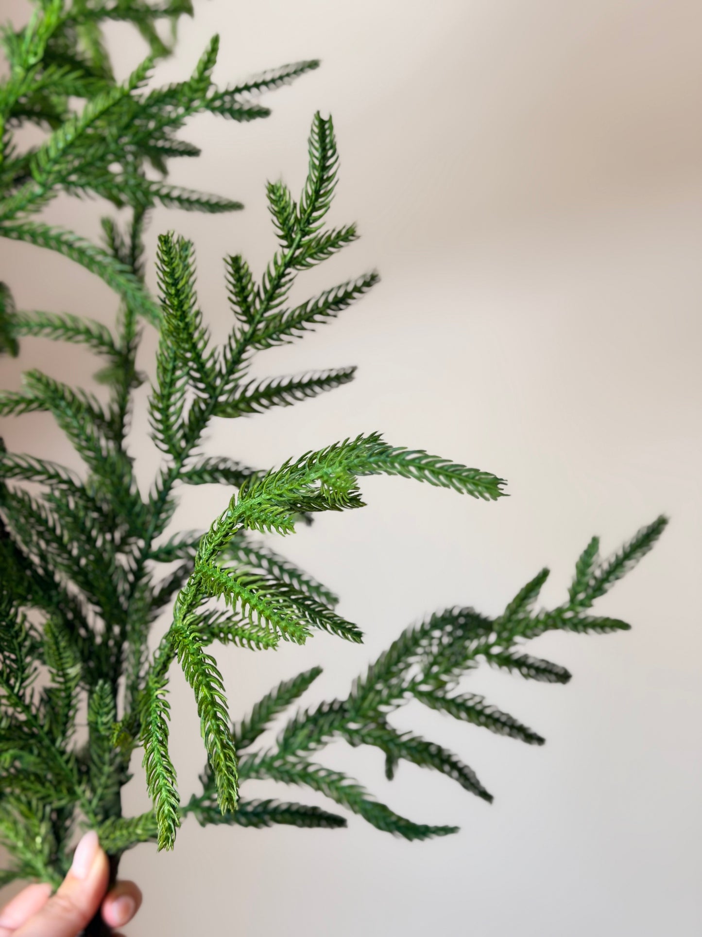 38" NATURAL TOUCH NORFOLK PINE SPRAY