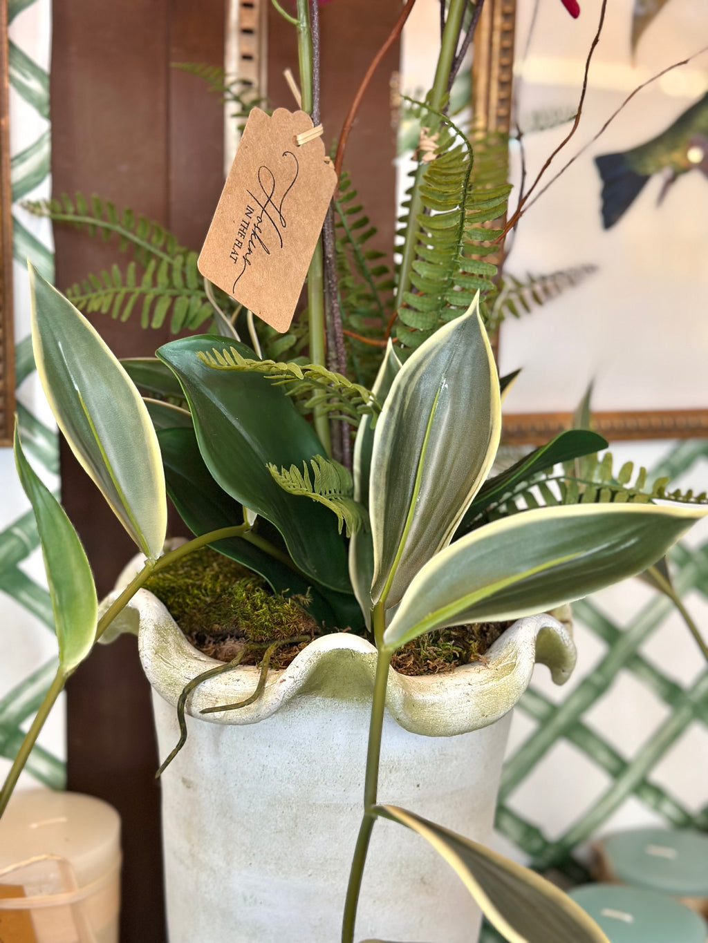 Pink Orchid & Bamboo