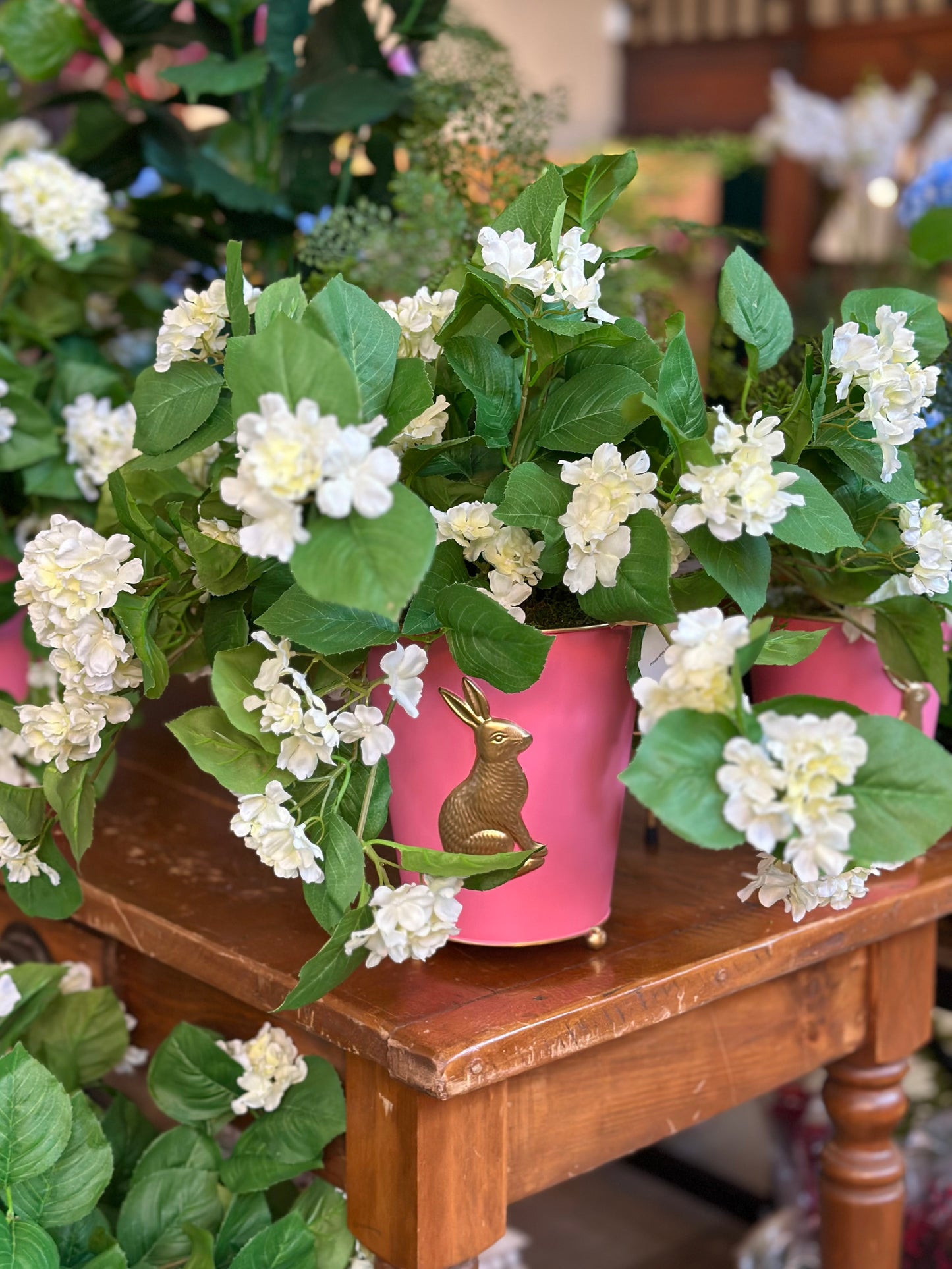 Potted White Mini Hydrangea Blooms in Pink Pot