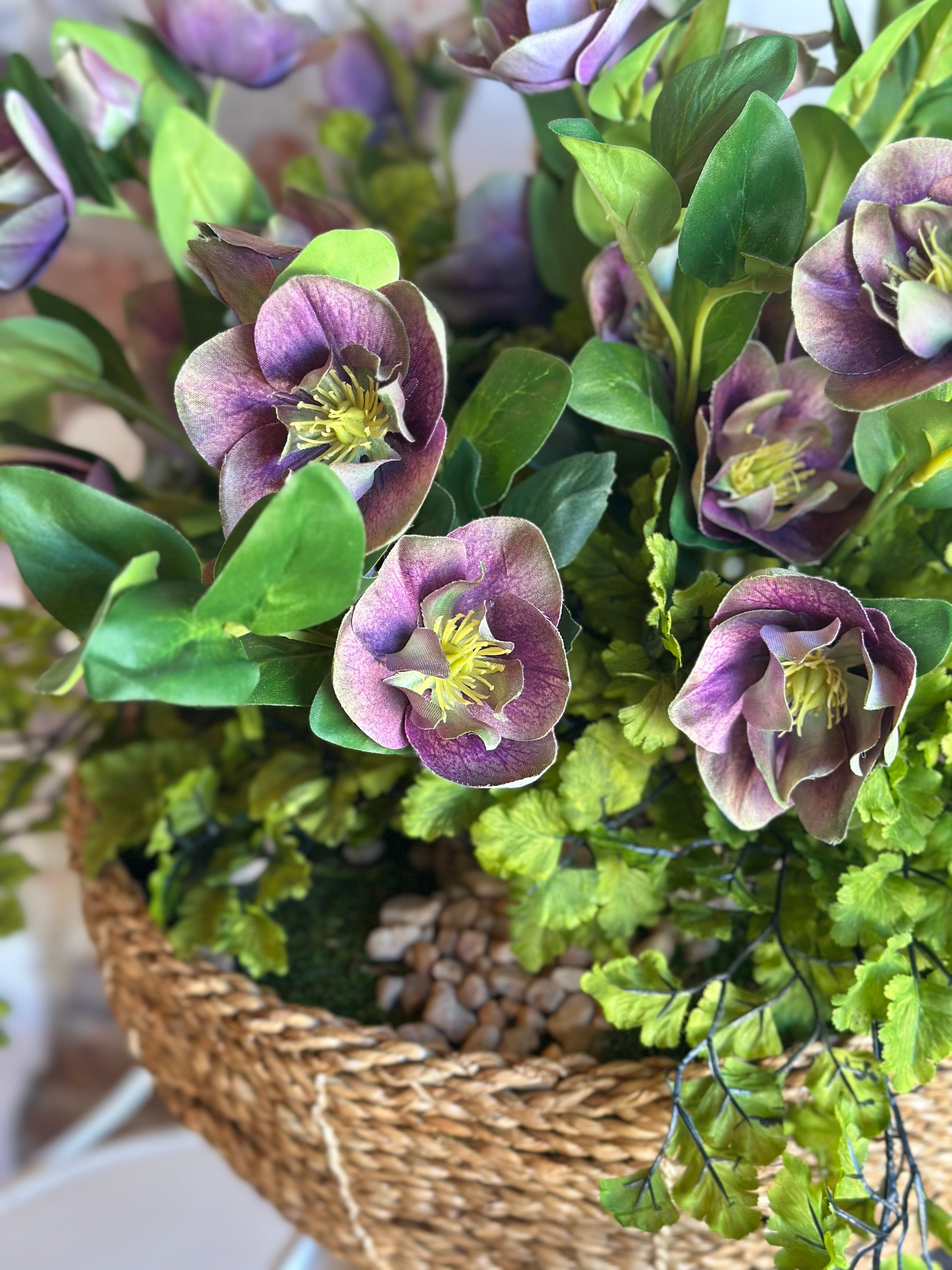 Helleborus Arrangement