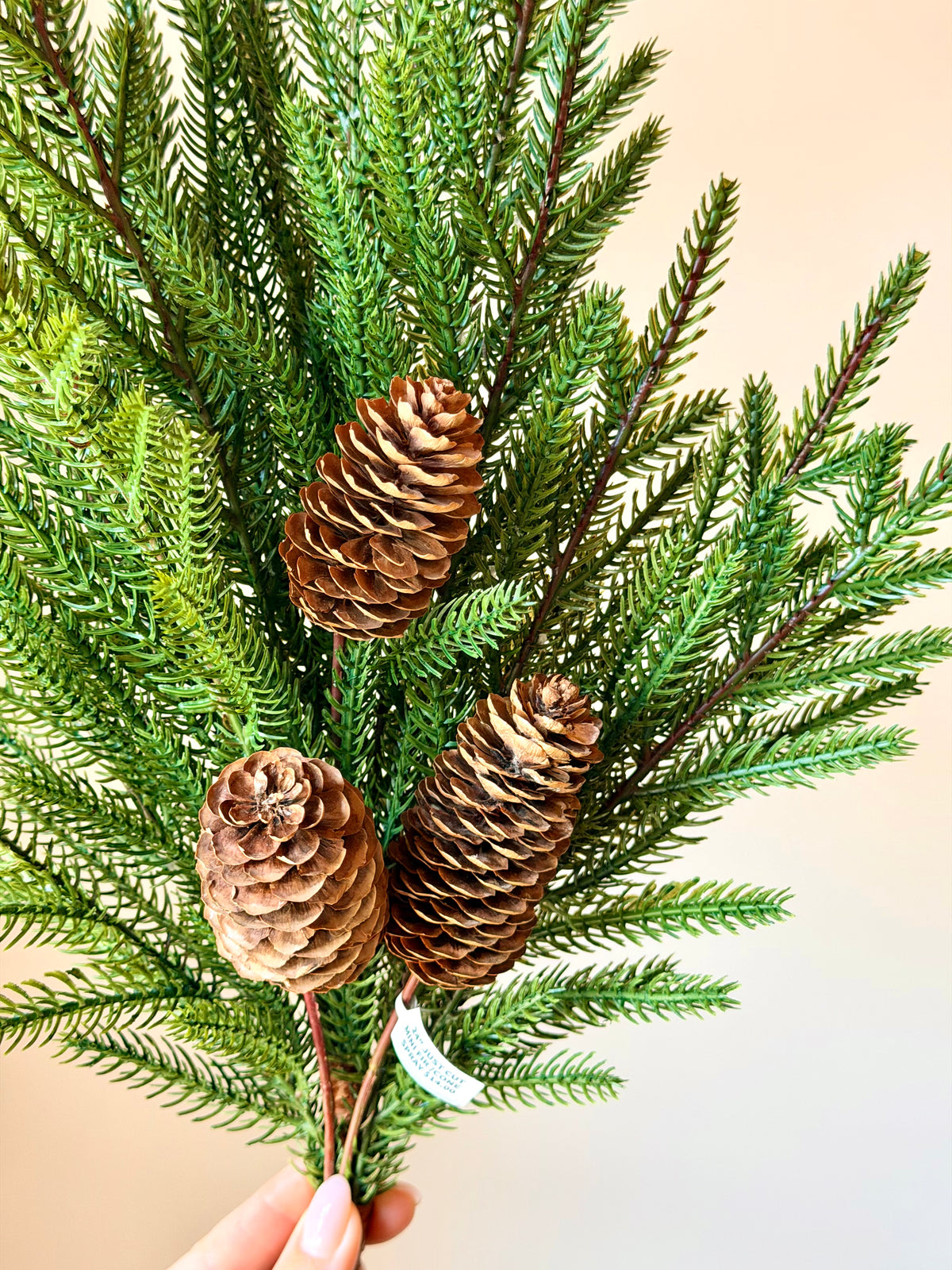 24" JUST CUT MINI FIR /CONE SPRAY