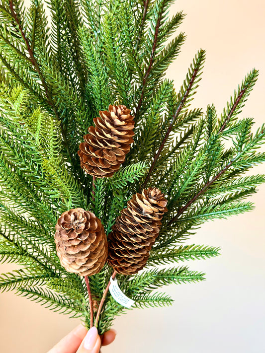 24" JUST CUT MINI FIR /CONE SPRAY