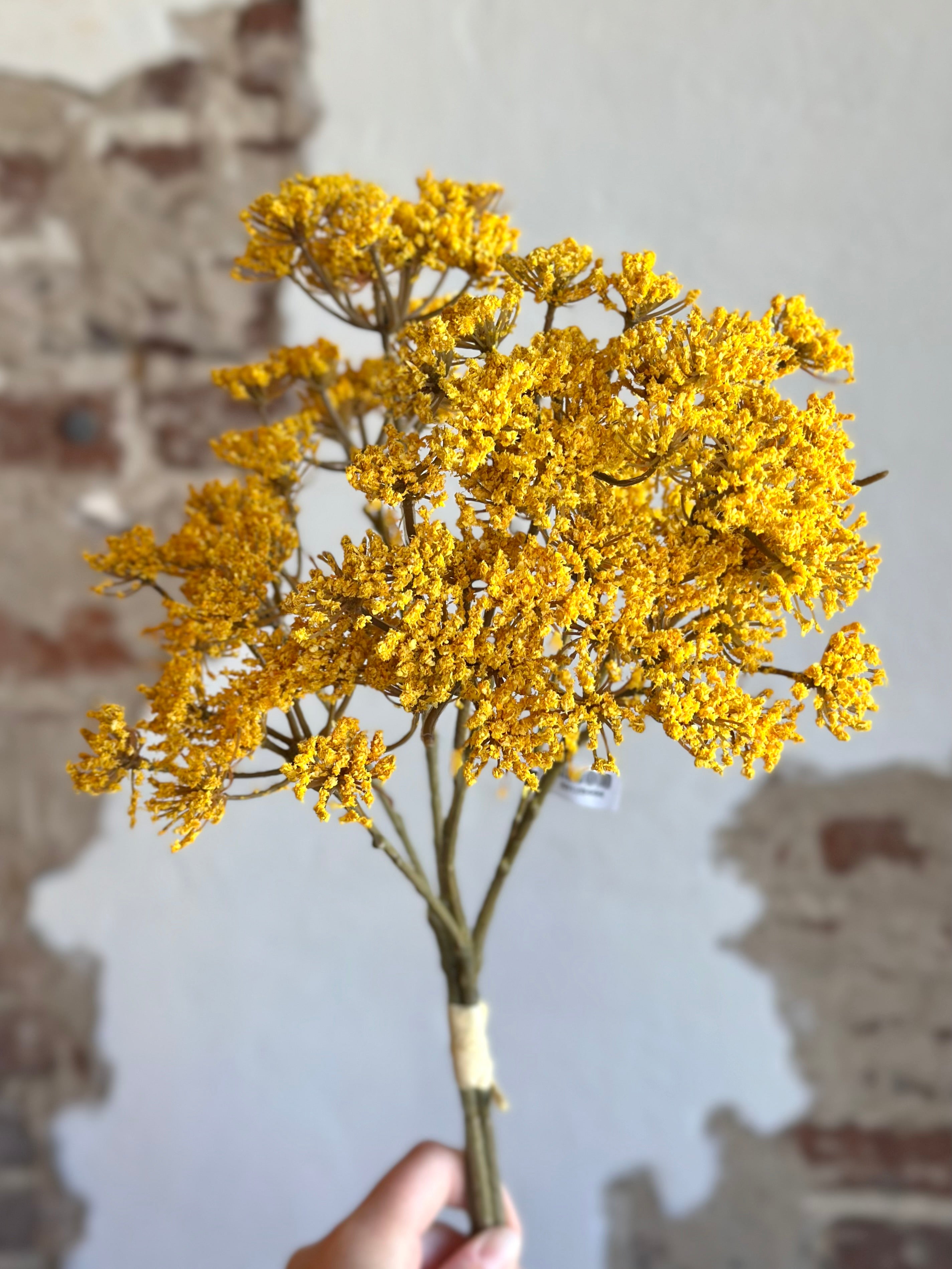 16" Yarrow Pick Bundle- Gold