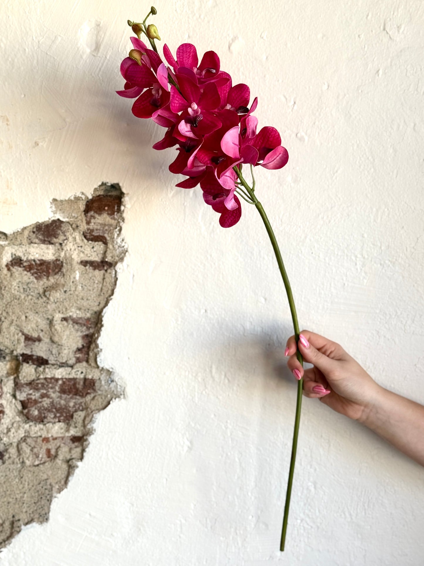 Just Cut Vanda Orchid Spray 27”