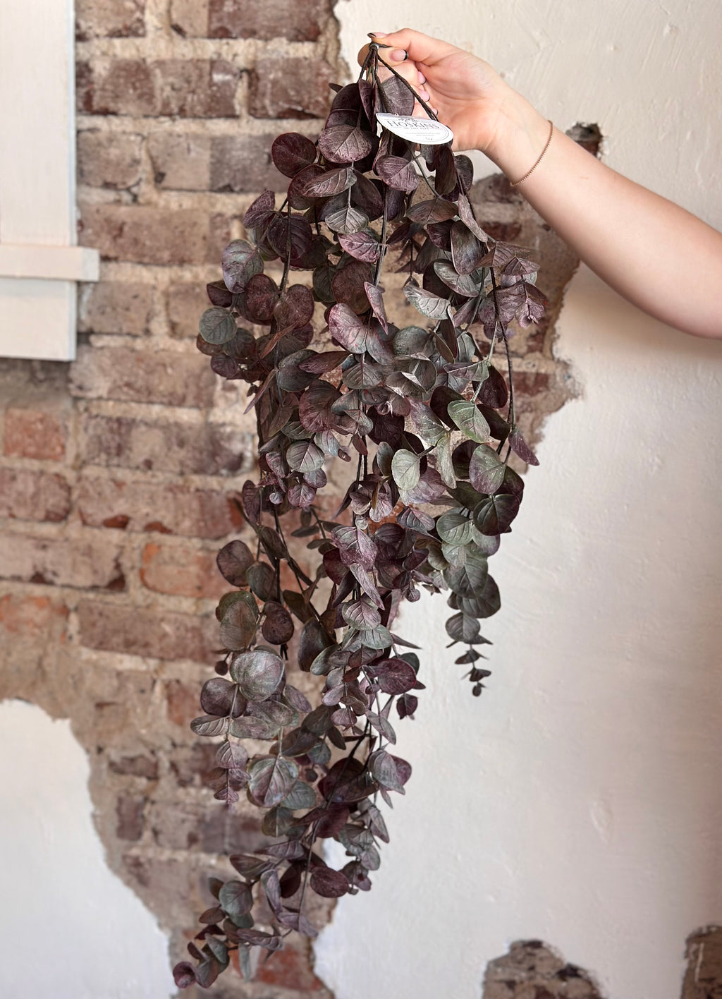 36" Burgundy Eucalyptus Drop