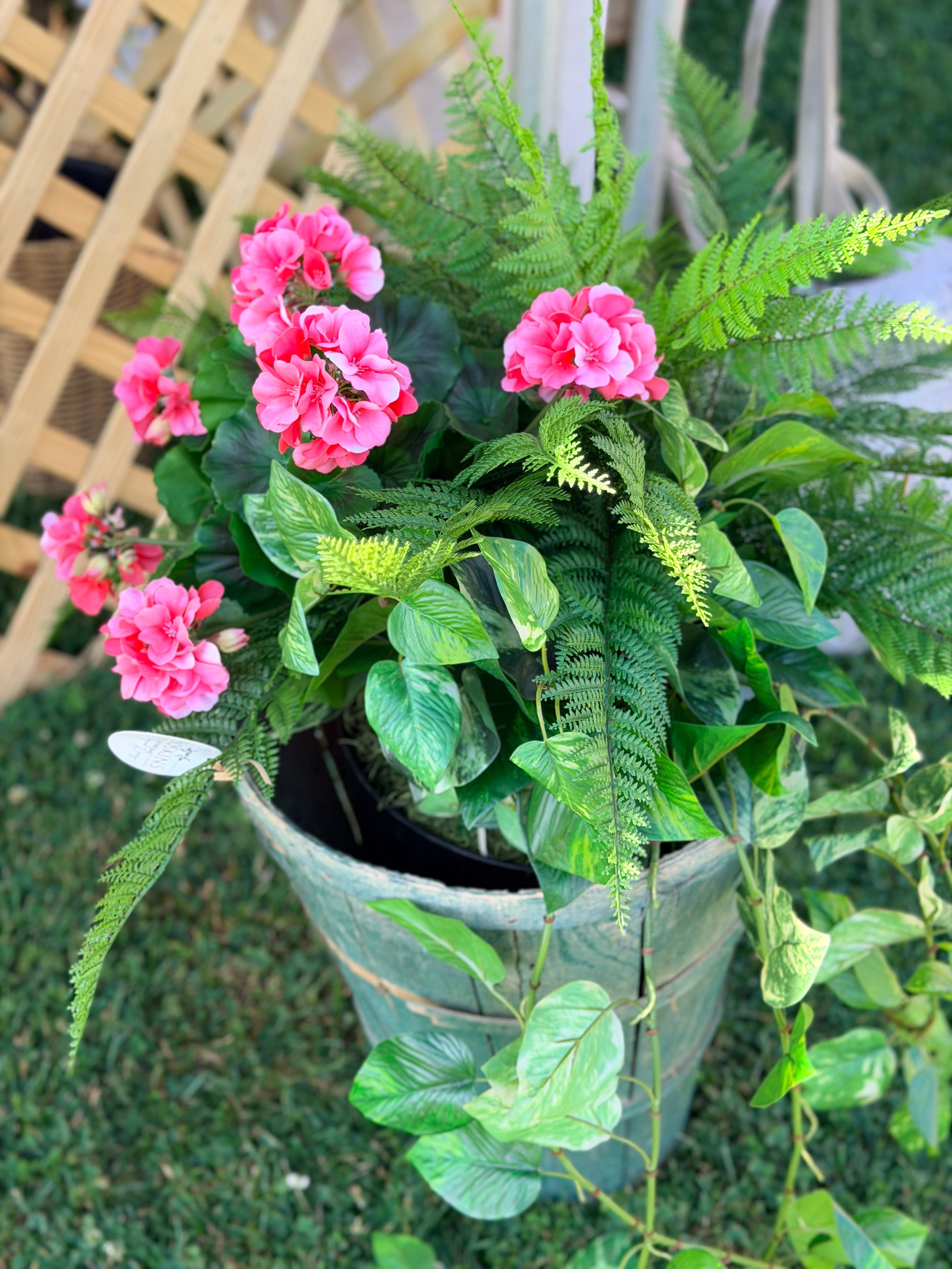 Pink Geraniums, Fern, and Ivy in Antique Green Basket