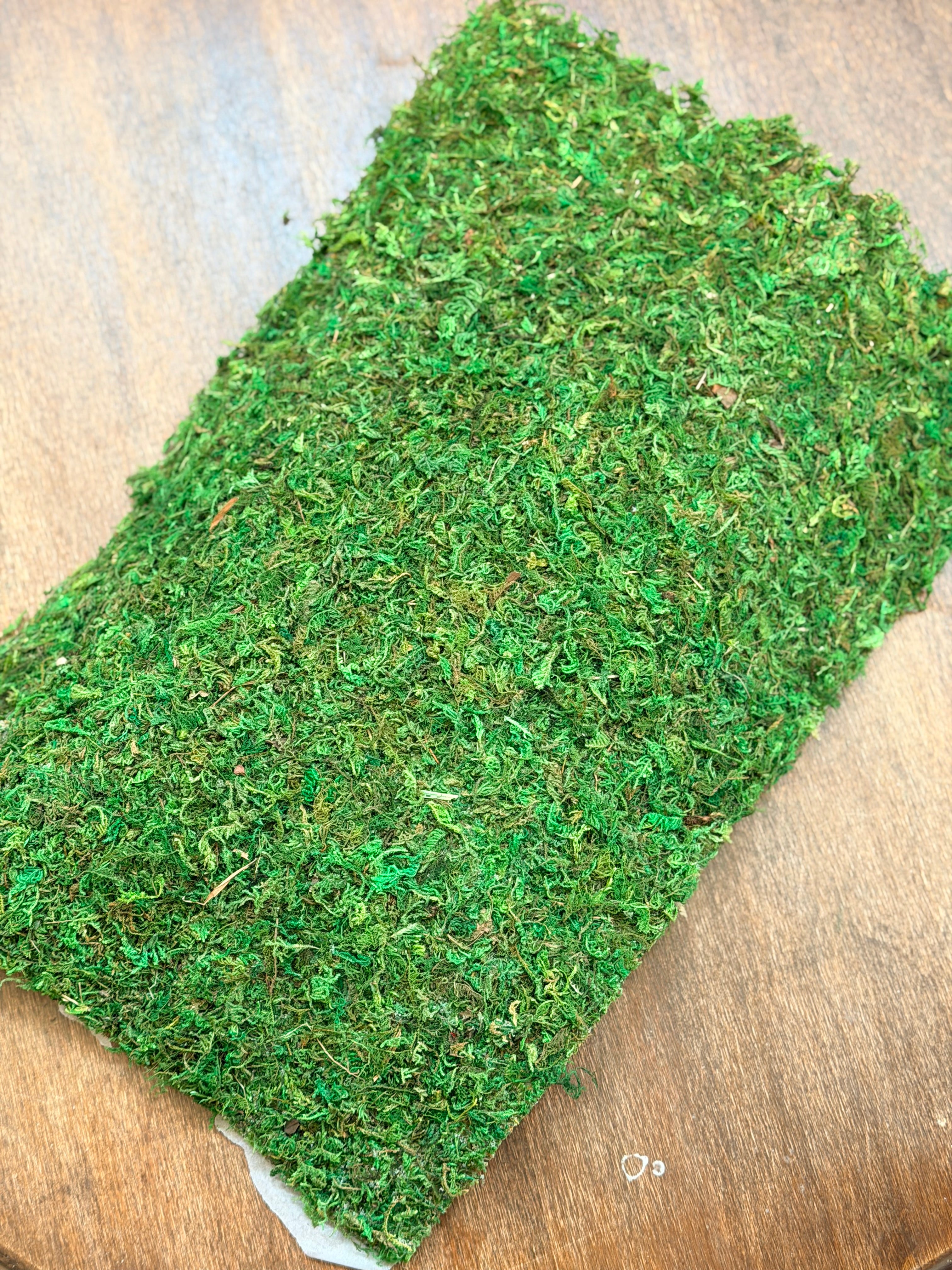 Preserved Green Sheet Moss