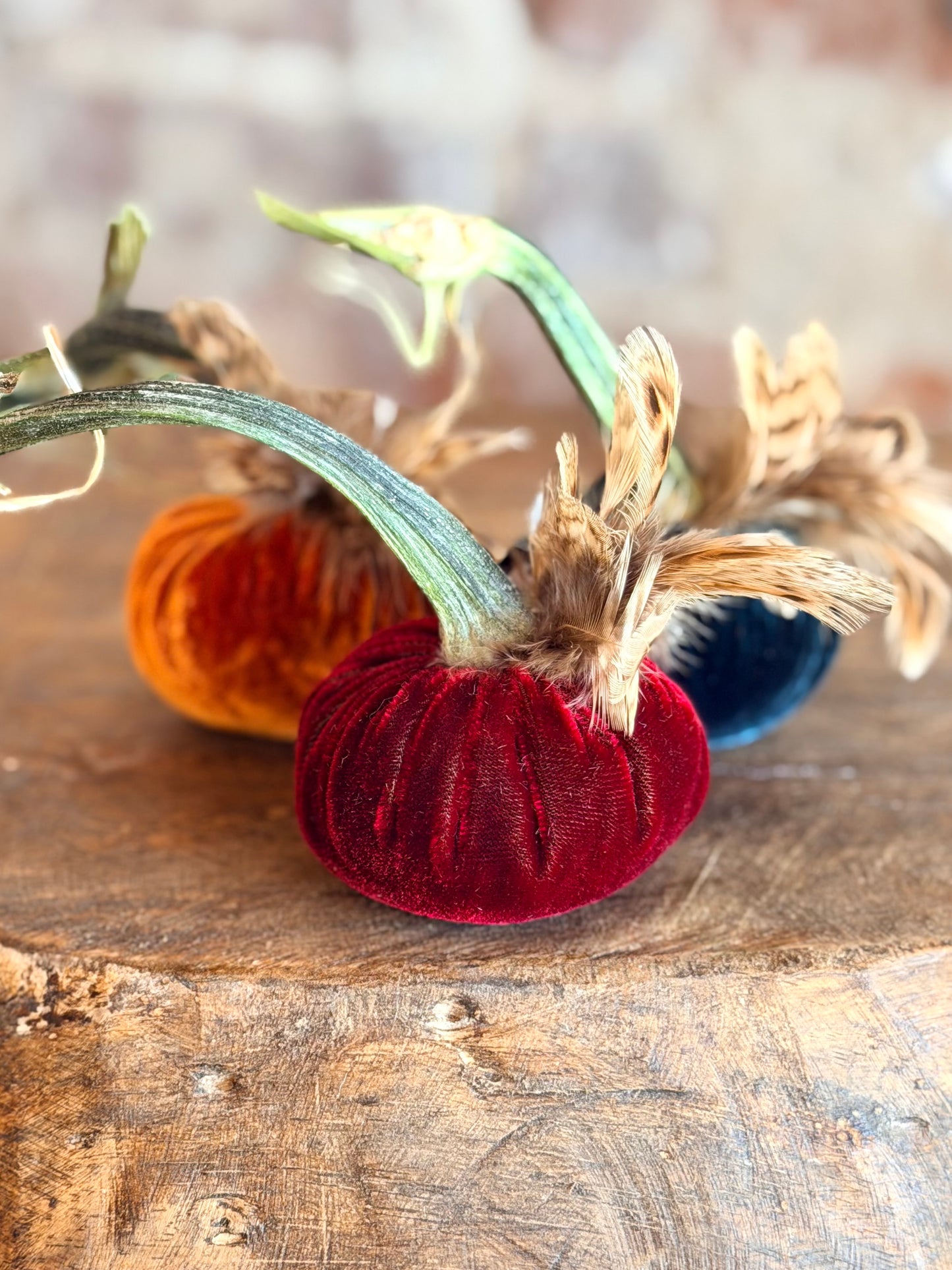 3" Velvet Pumpkin with Chinchilla Feather Plume (Silk Options)