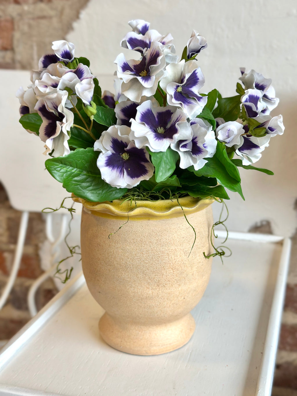 Purple Potted Pansies- Ruffled Pot