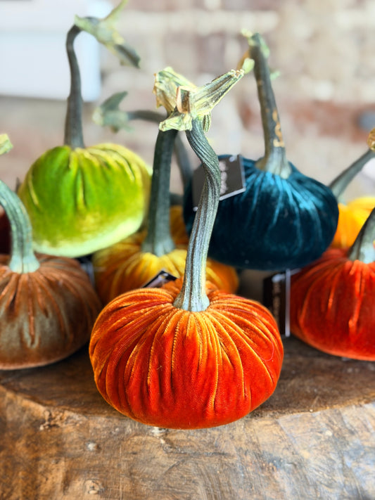 4" Velvet Pumpkin (Silk Options)