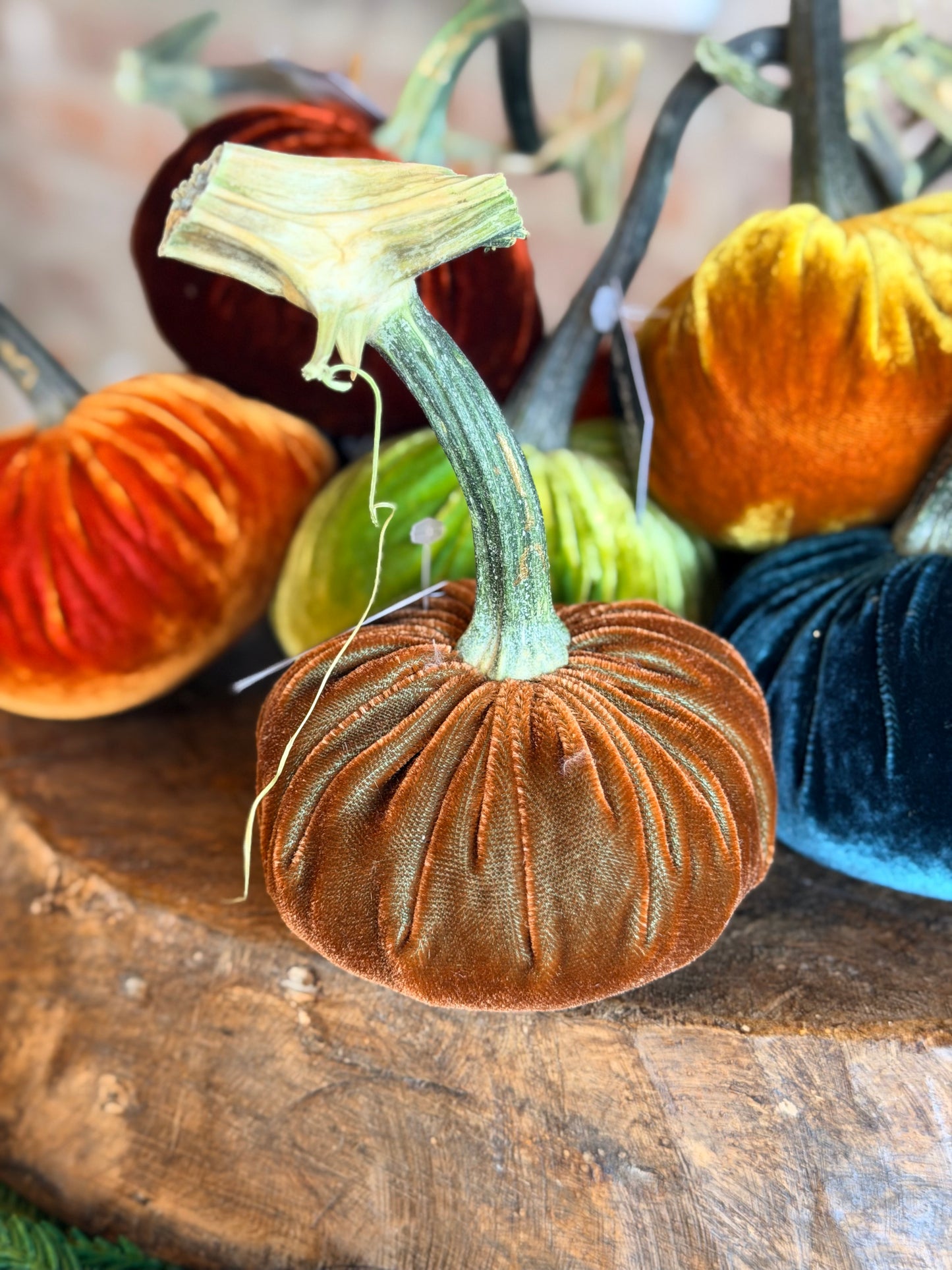 4" Velvet Pumpkin (Silk Options)