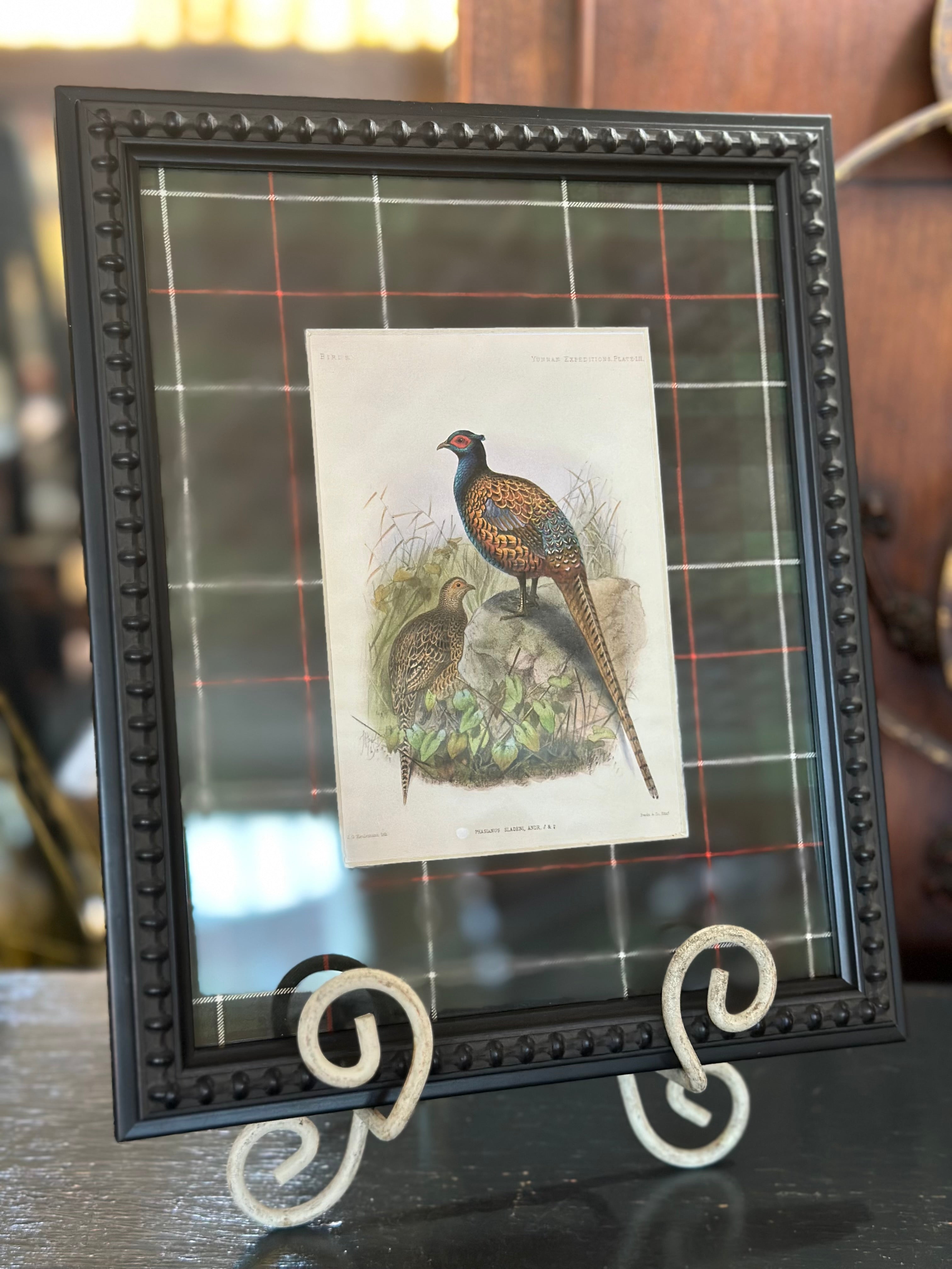 Vintage Pheasant Painting Matted in Navy and Green Tartan
