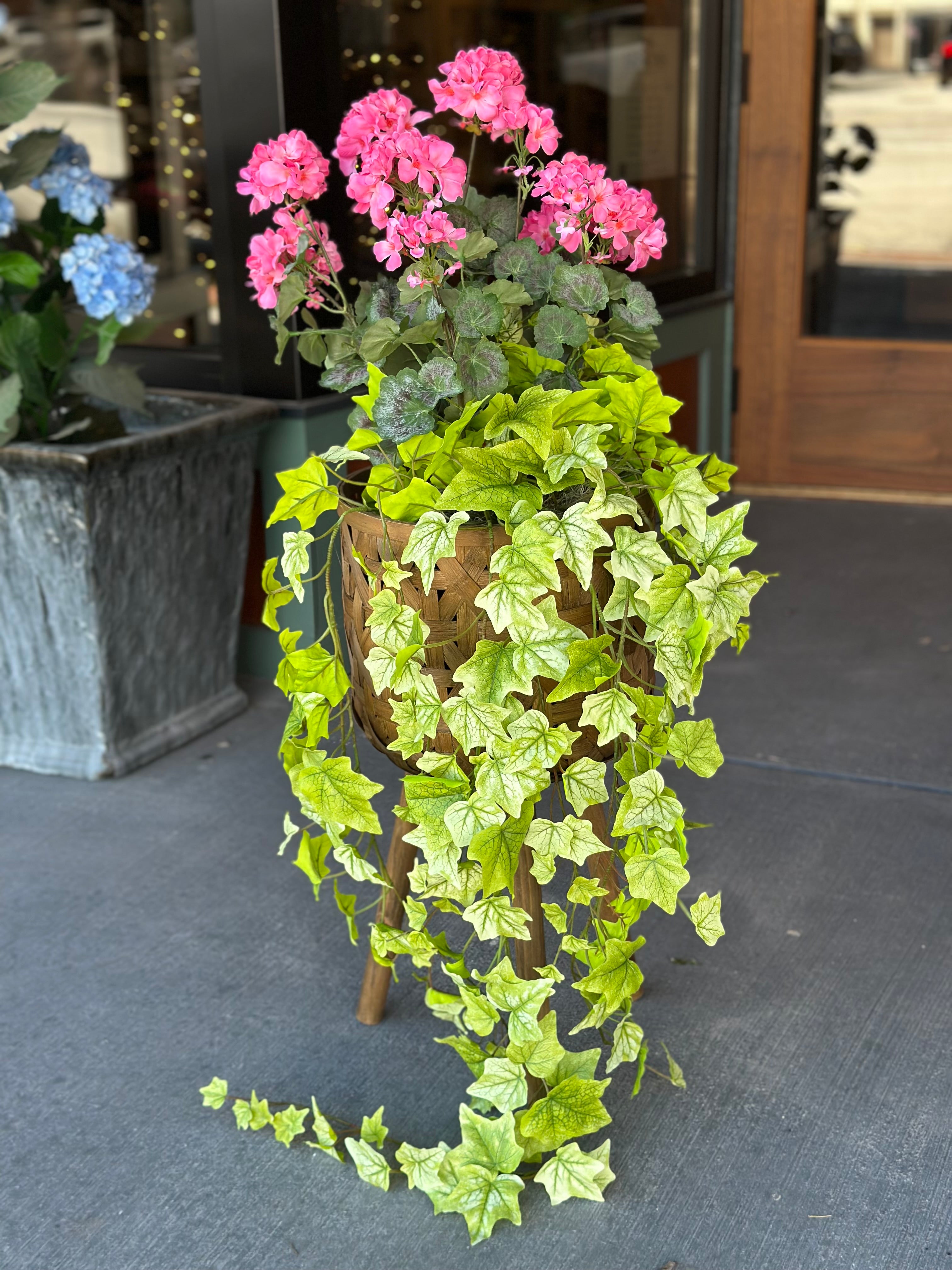10" Pink Geranium & Holland Ivy Pot Filler