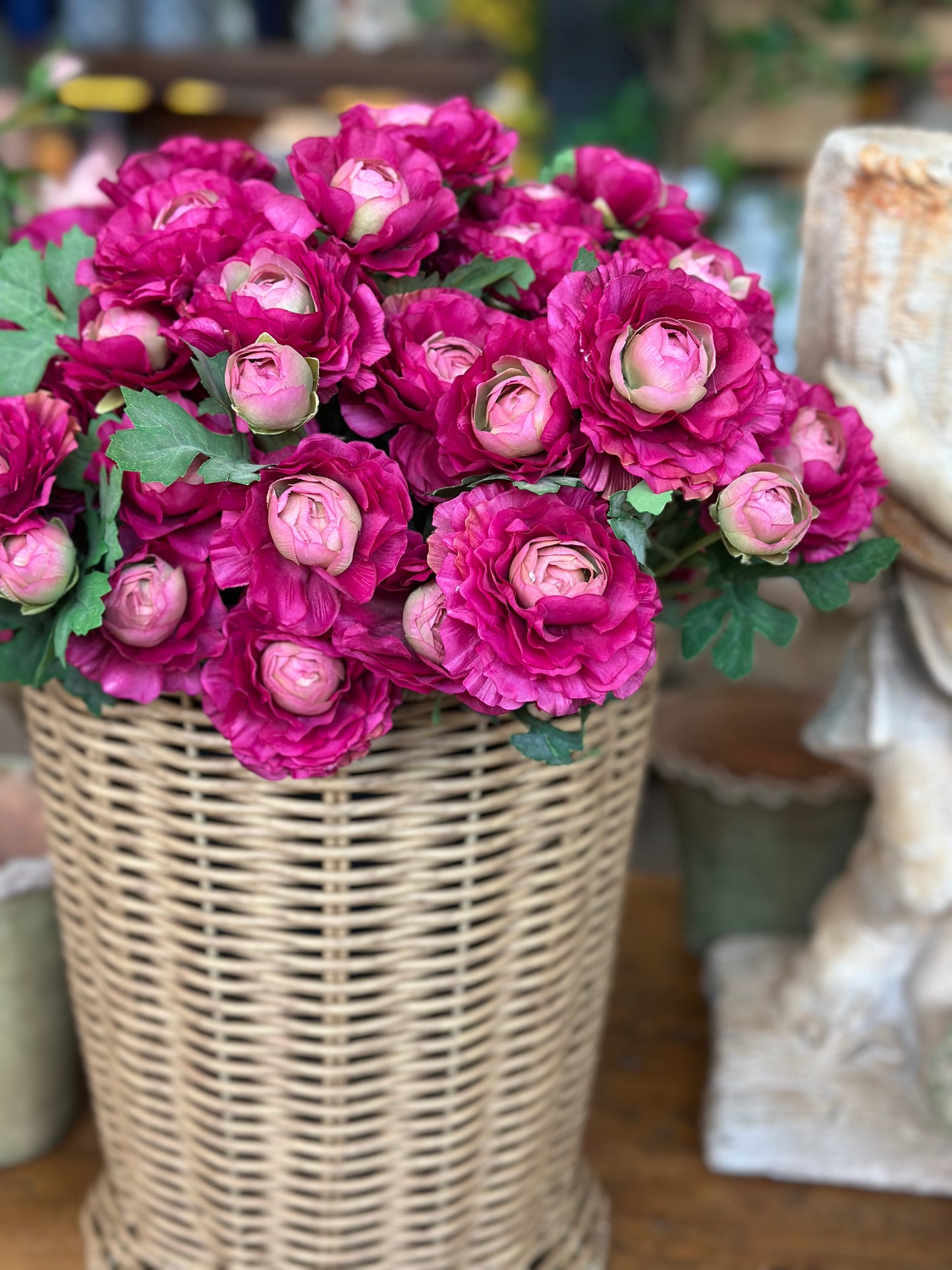 RANUNCULUS PLANT 16" (COLOR OPTIONS)